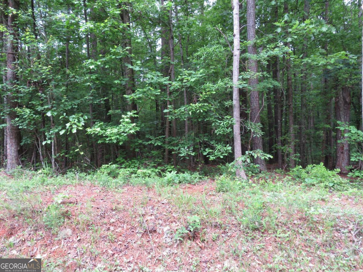 0 Doke Cohran Road Dallas GA 30157
