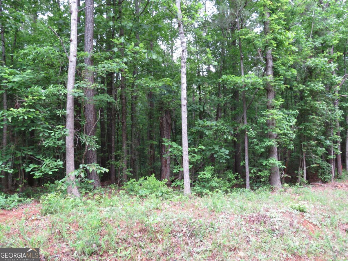 0 Doke Cohran Road Dallas GA 30157