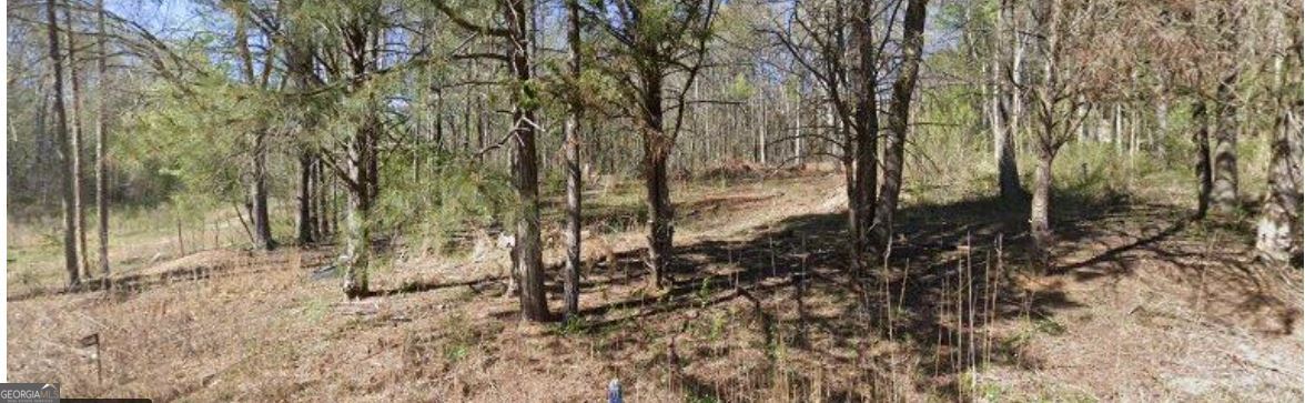 358 Jims Lane Nicholson GA 30565