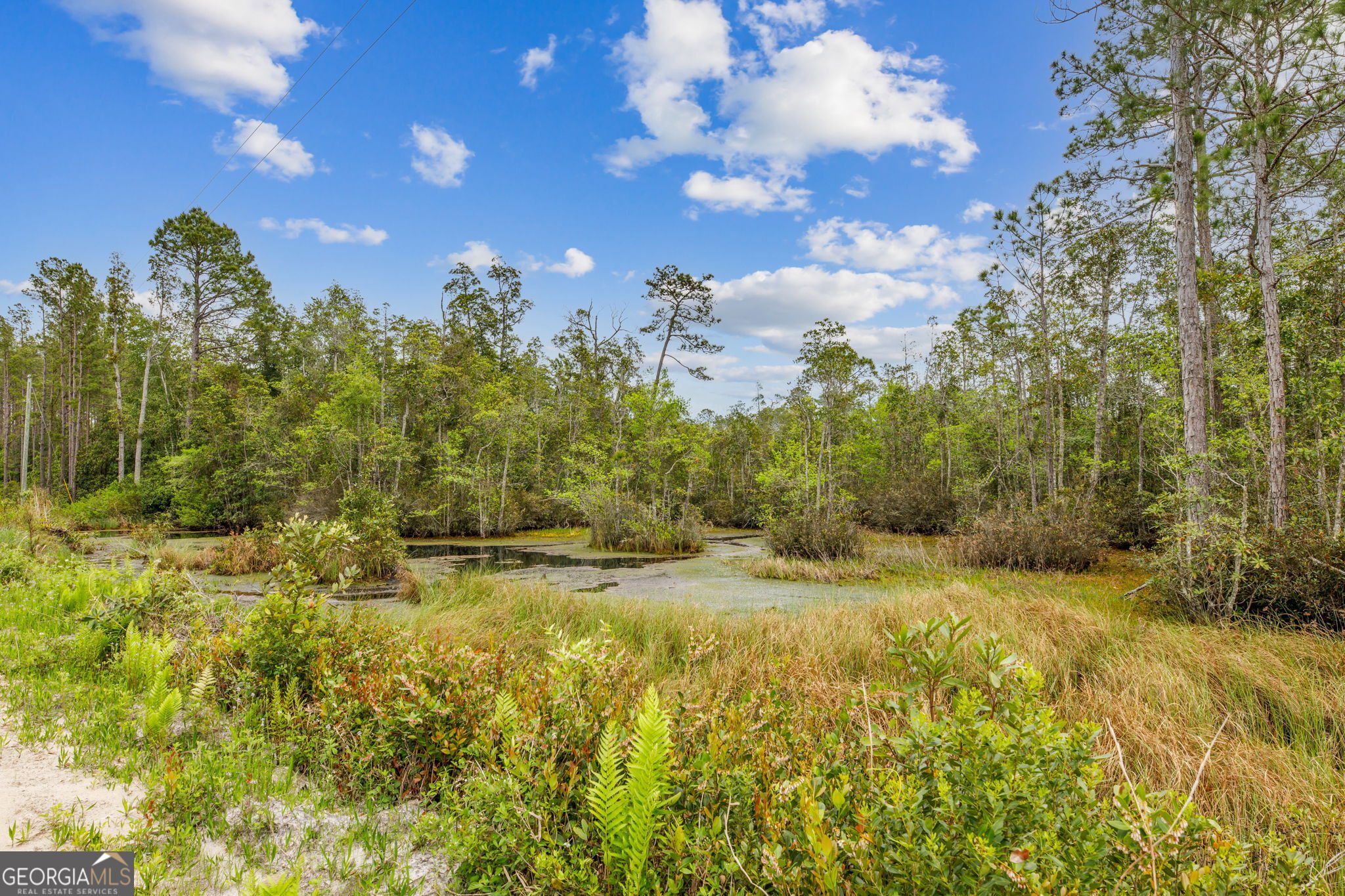 V/l 102 Old Reserve Road Waverly GA 31565