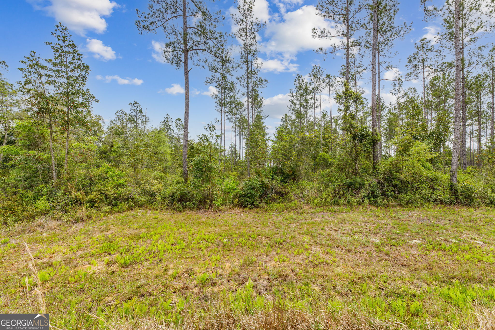 V/l 102 Old Reserve Road Waverly GA 31565