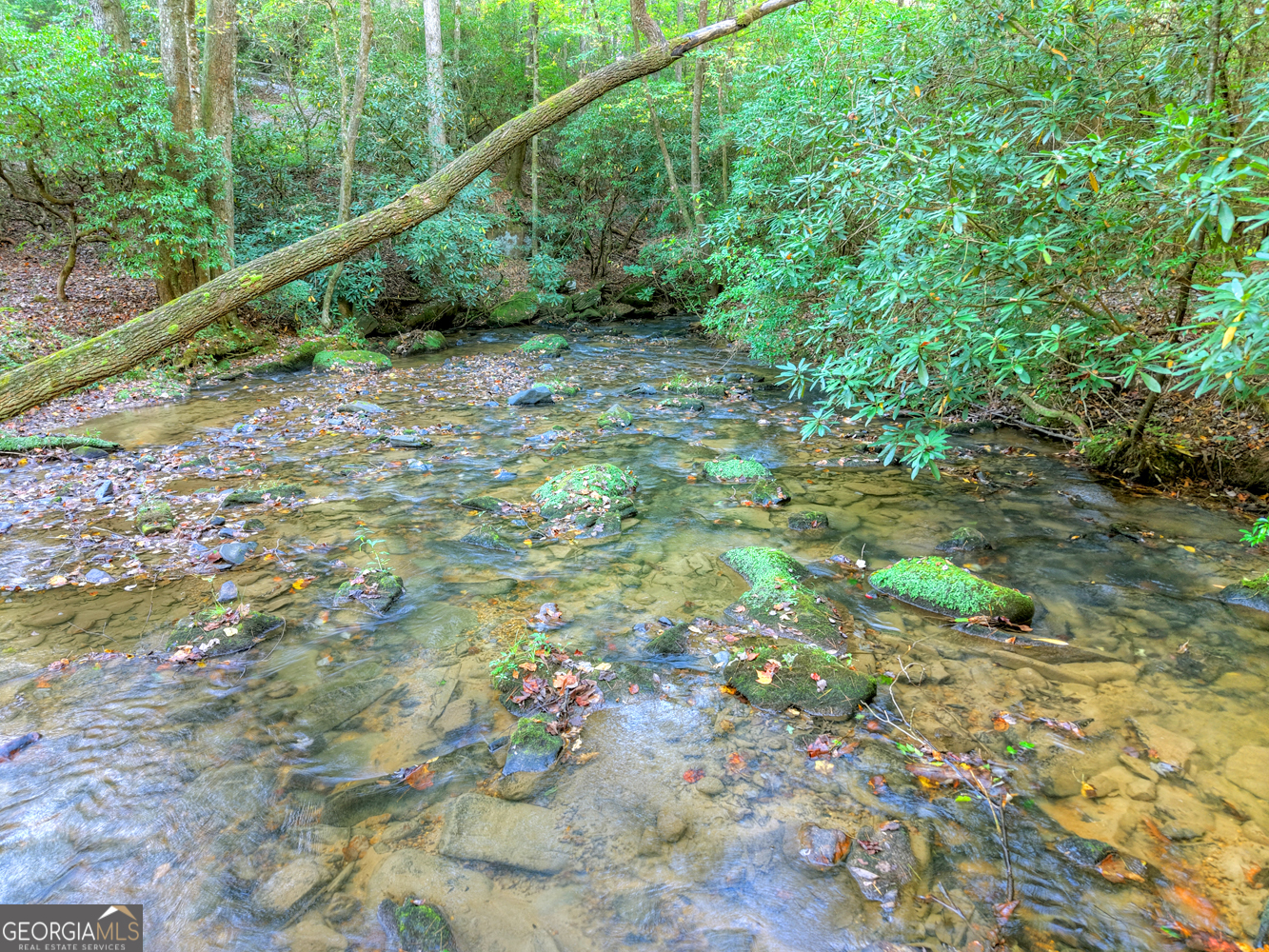 12.64 Ac Harrison Sluder Road Ellijay GA 30540