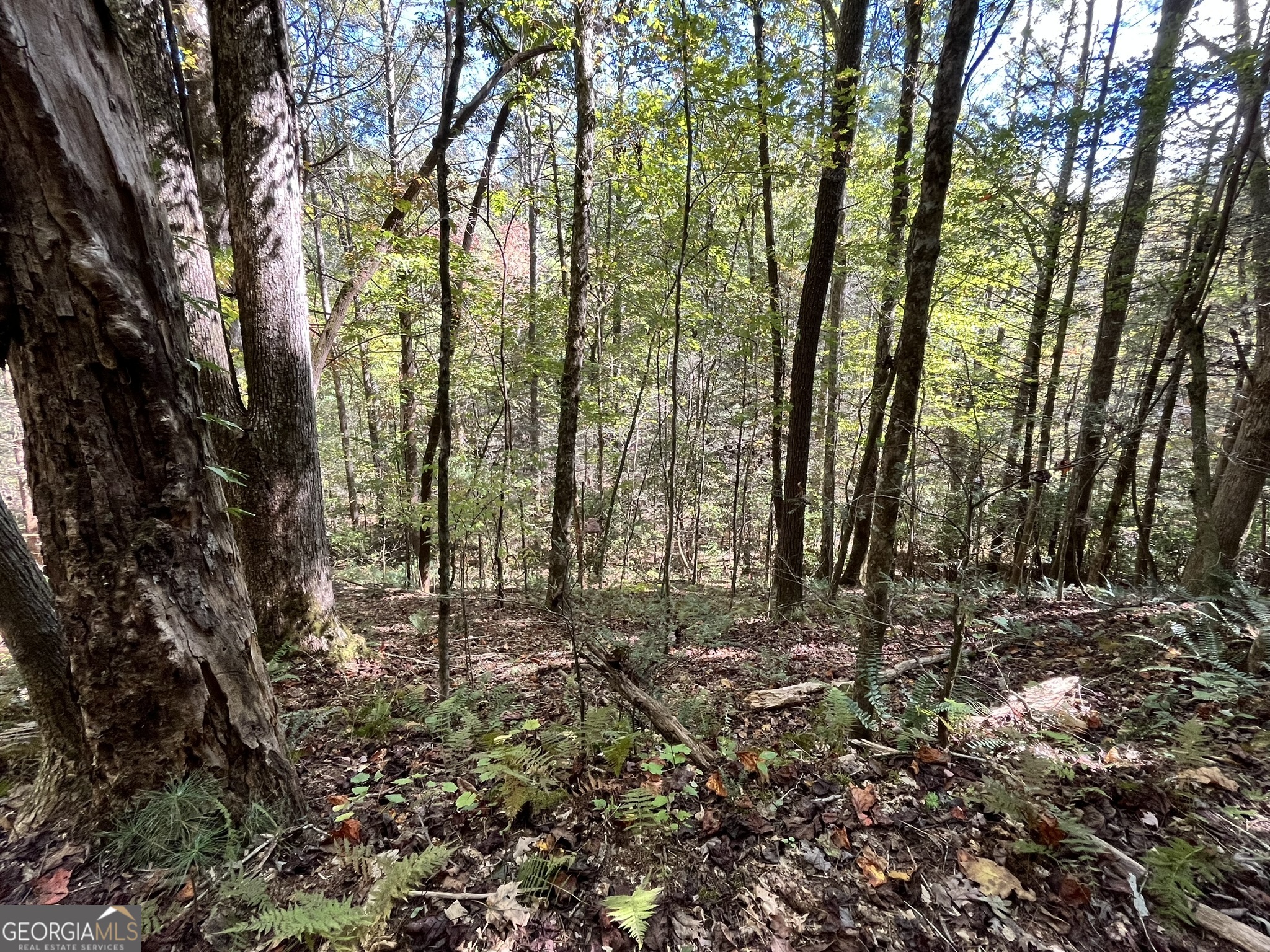 12.64 Ac Harrison Sluder Road Ellijay GA 30540