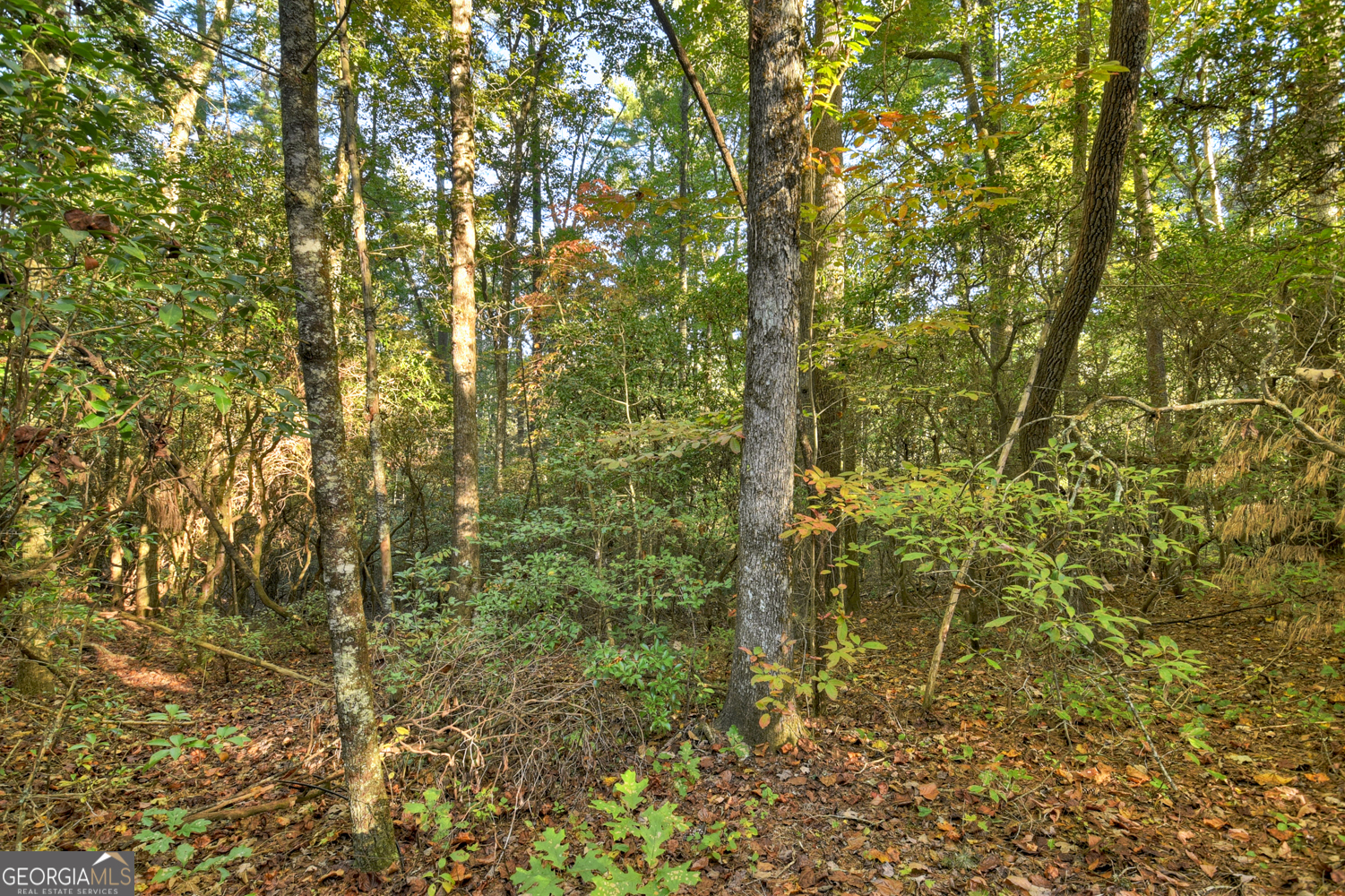 12.64 Ac Harrison Sluder Road Ellijay GA 30540