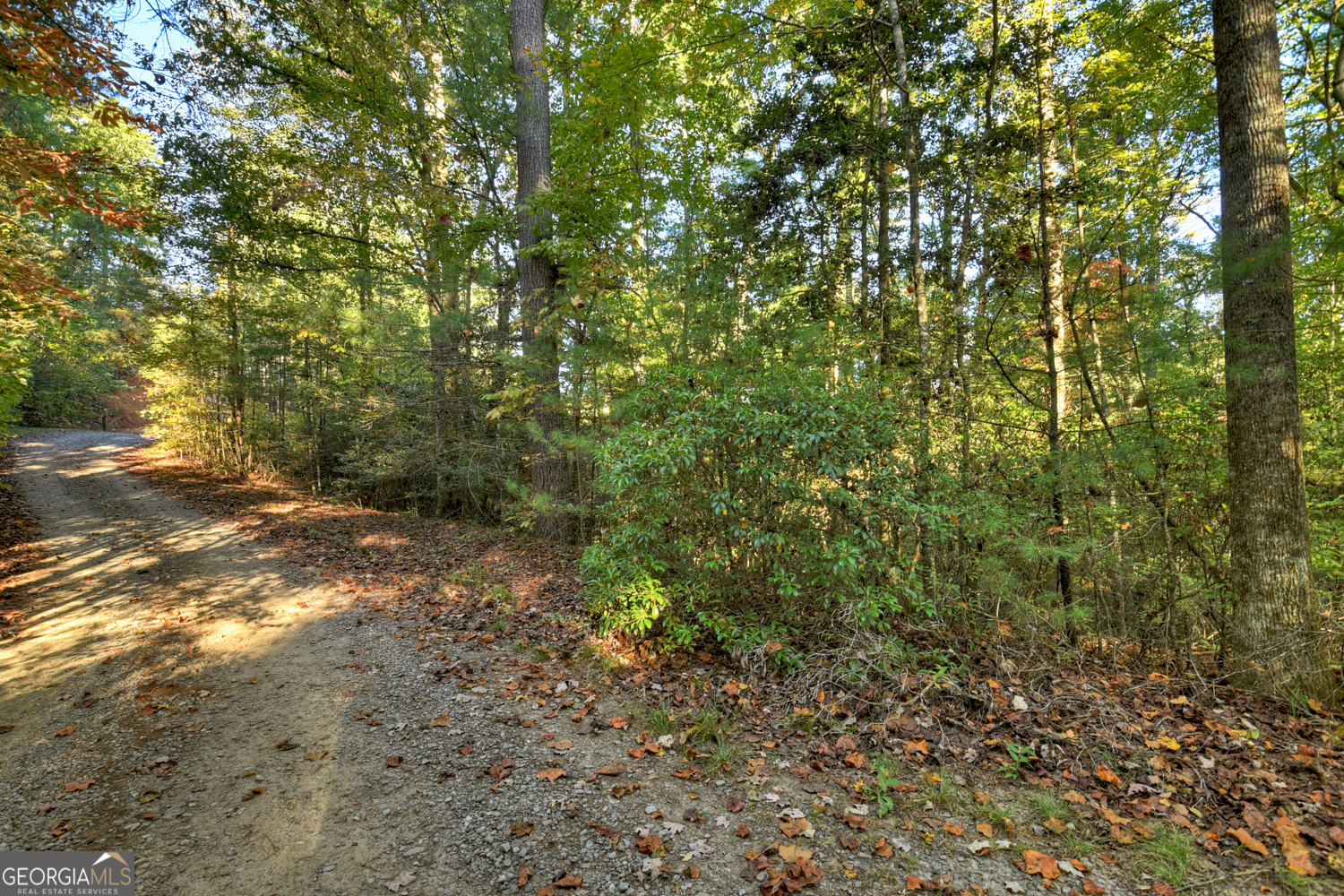 12.64 Ac Harrison Sluder Road Ellijay GA 30540