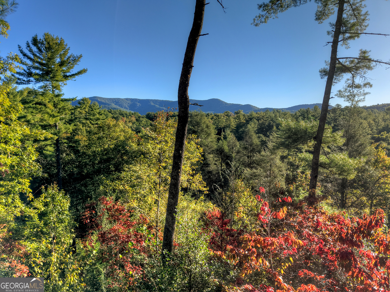 12.64 Ac Harrison Sluder Road Ellijay GA 30540