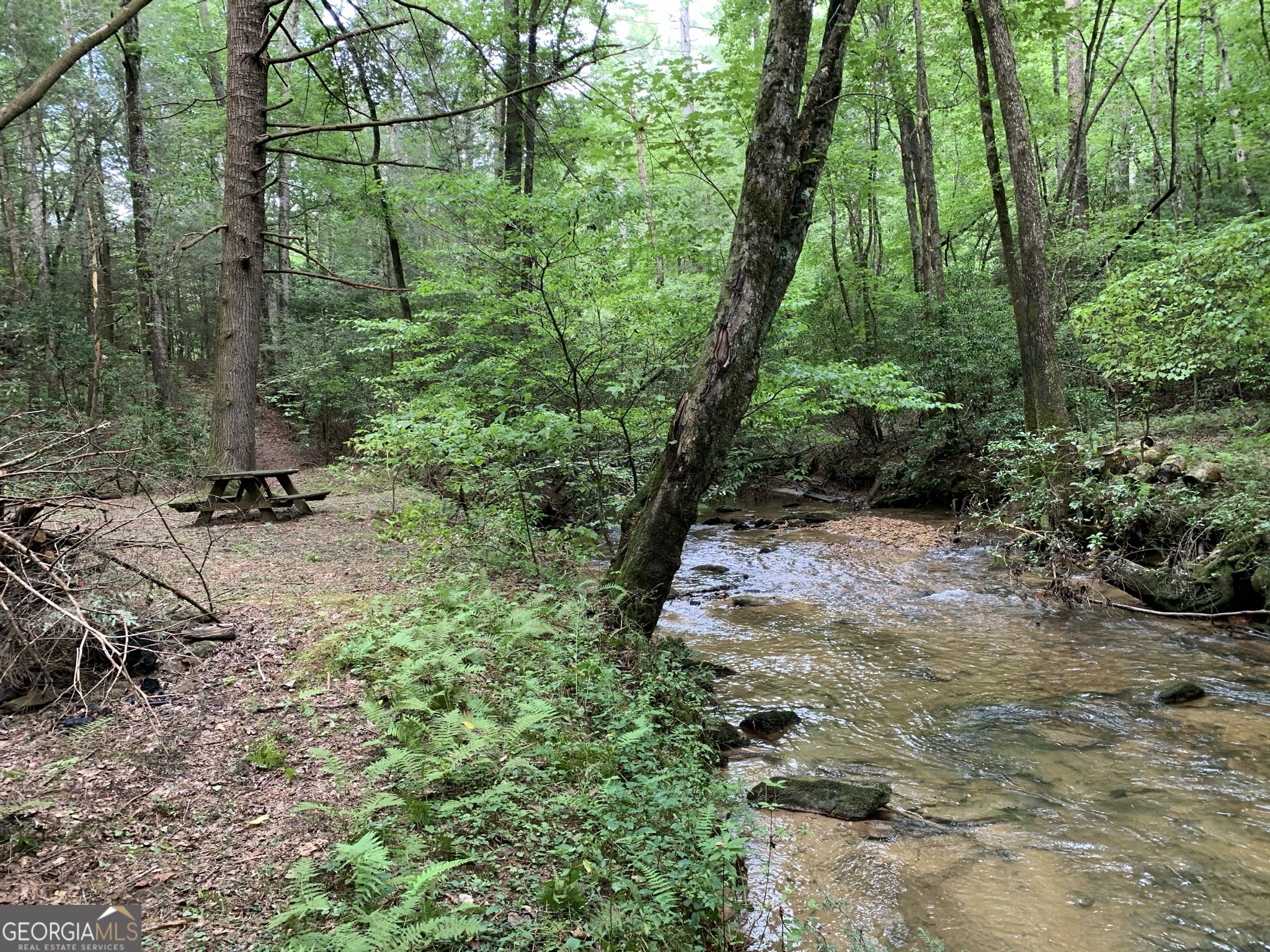 12.64 Ac Harrison Sluder Road Ellijay GA 30540
