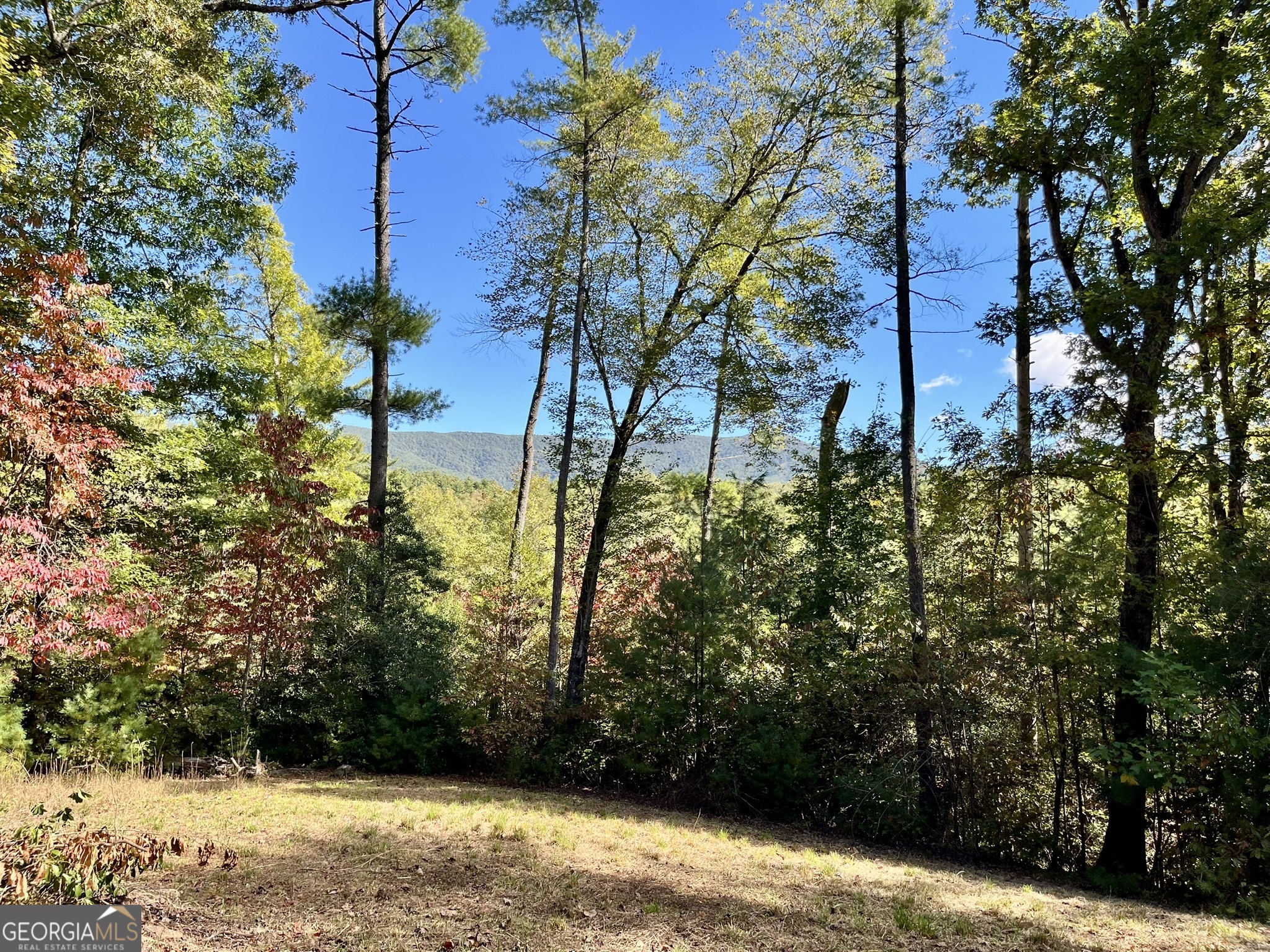 12.64 Ac Harrison Sluder Road Ellijay GA 30540