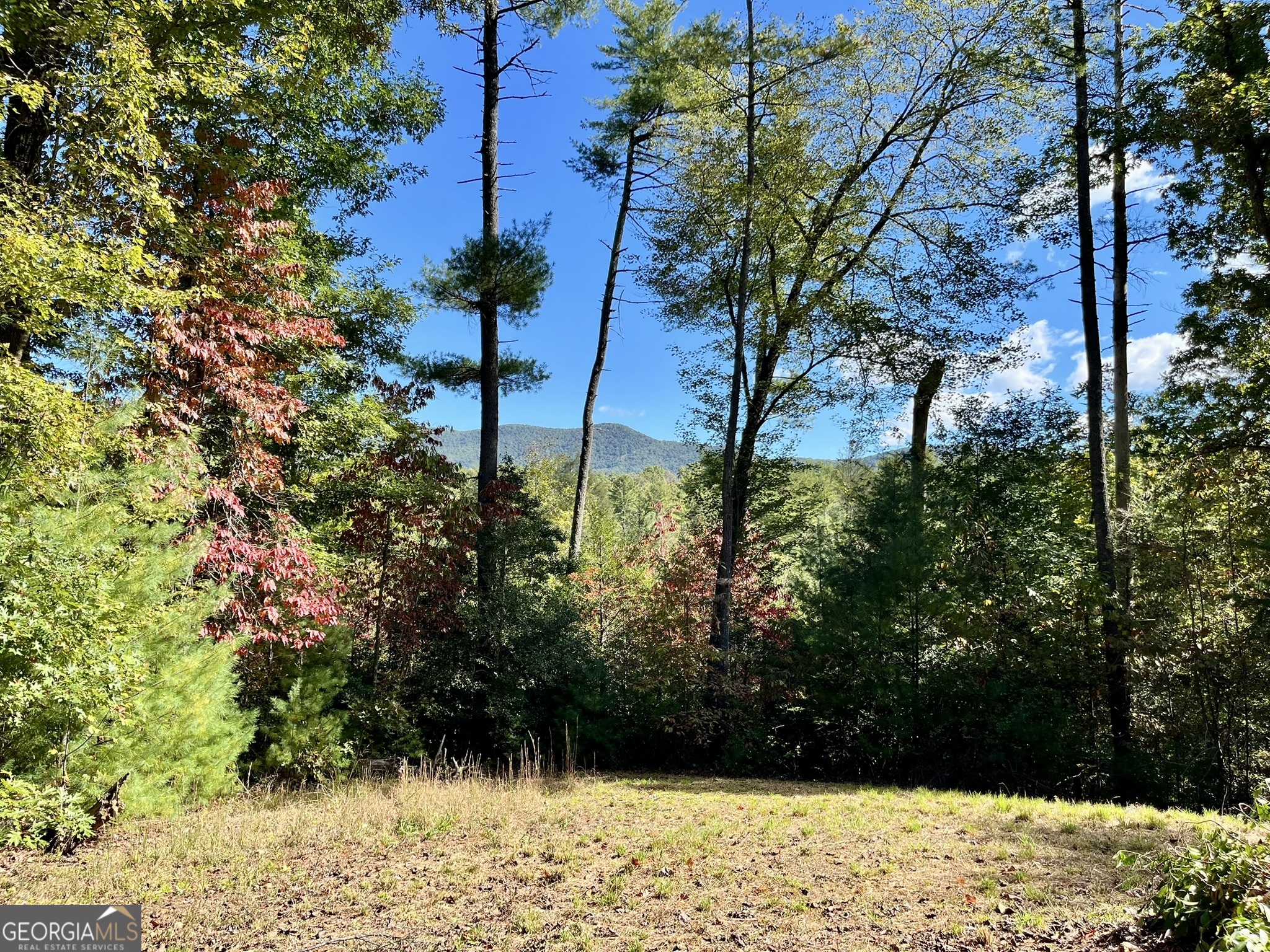 12.64 Ac Harrison Sluder Road Ellijay GA 30540