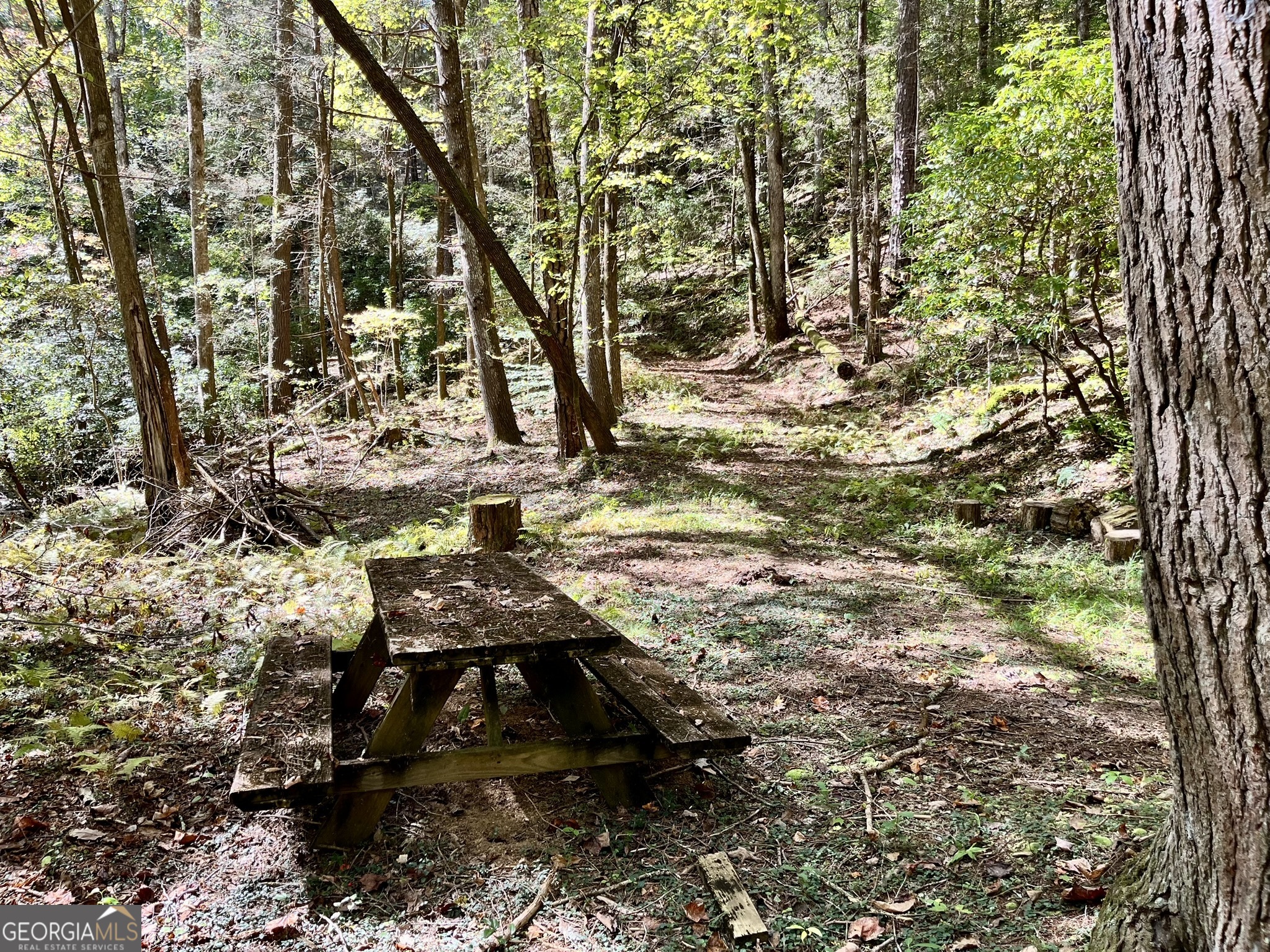 12.64 Ac Harrison Sluder Road Ellijay GA 30540