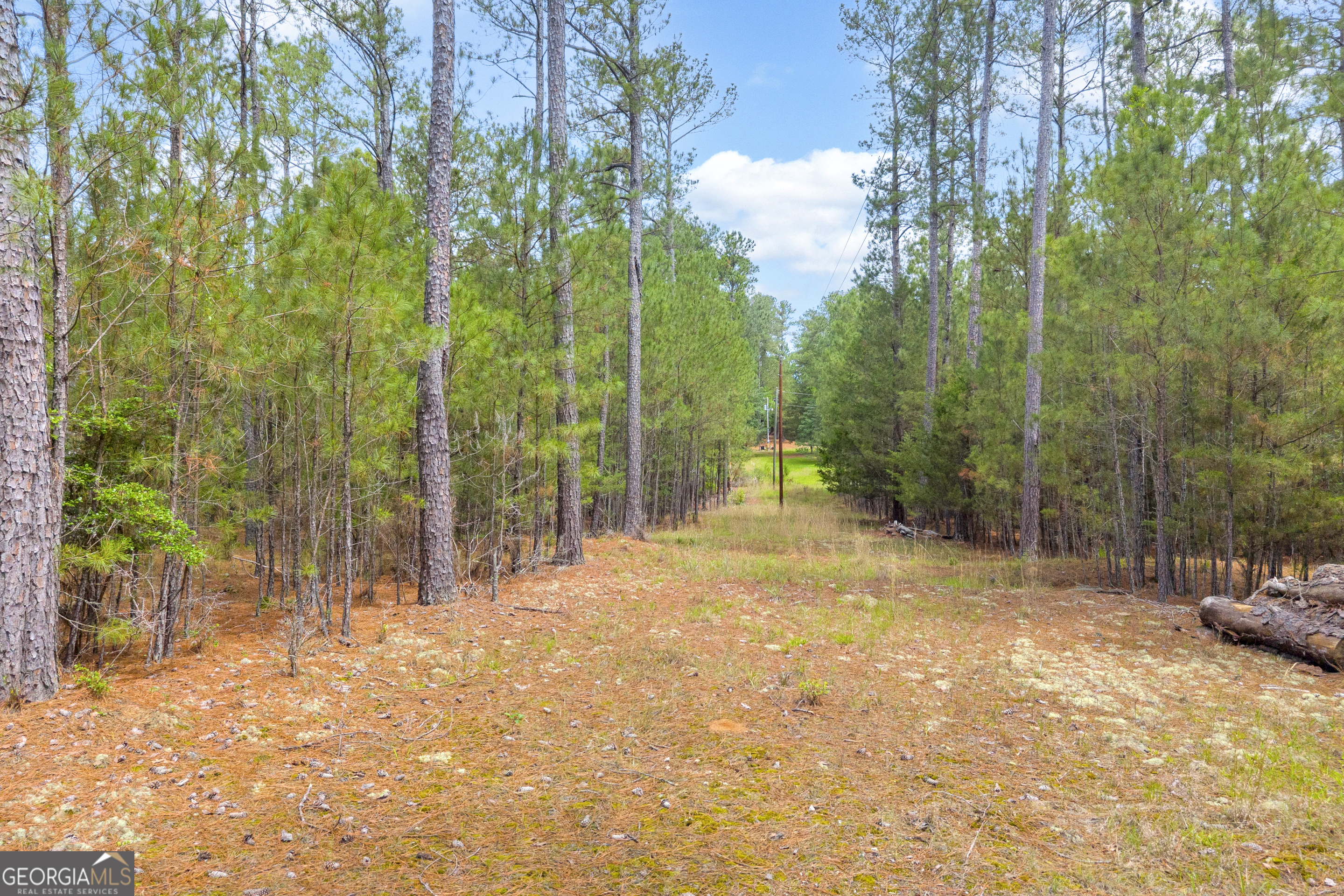 0 Clary Crossroad Lincolnton GA 30817