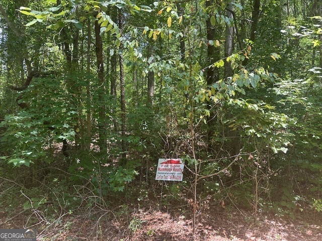 57 Dogwood Trail Martin GA 30557