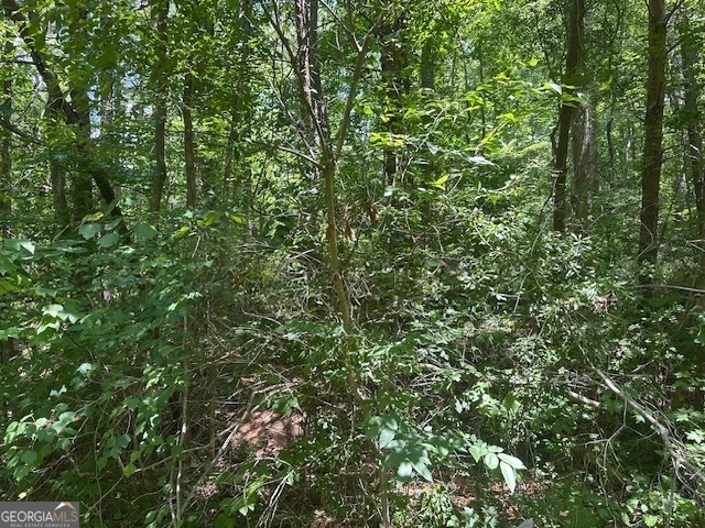 57 Dogwood Trail Martin GA 30557