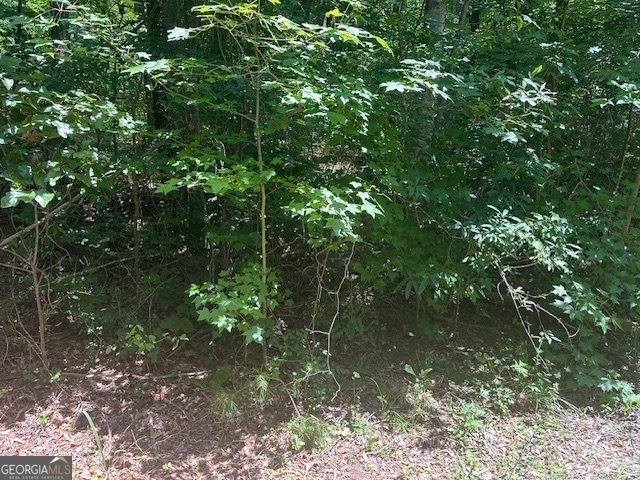 57 Dogwood Trail Martin GA 30557