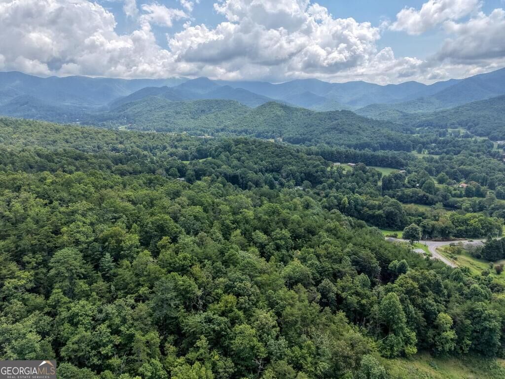 Lots 1-8 Teaks Drive Hayesville NC 28904