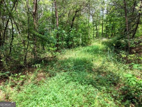 Lots 1-8 Teaks Drive Hayesville NC 28904
