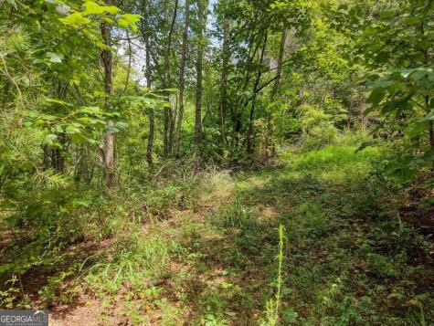 Lots 1-8 Teaks Drive Hayesville NC 28904