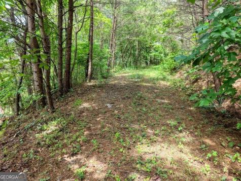 Lots 1-8 Teaks Drive Hayesville NC 28904