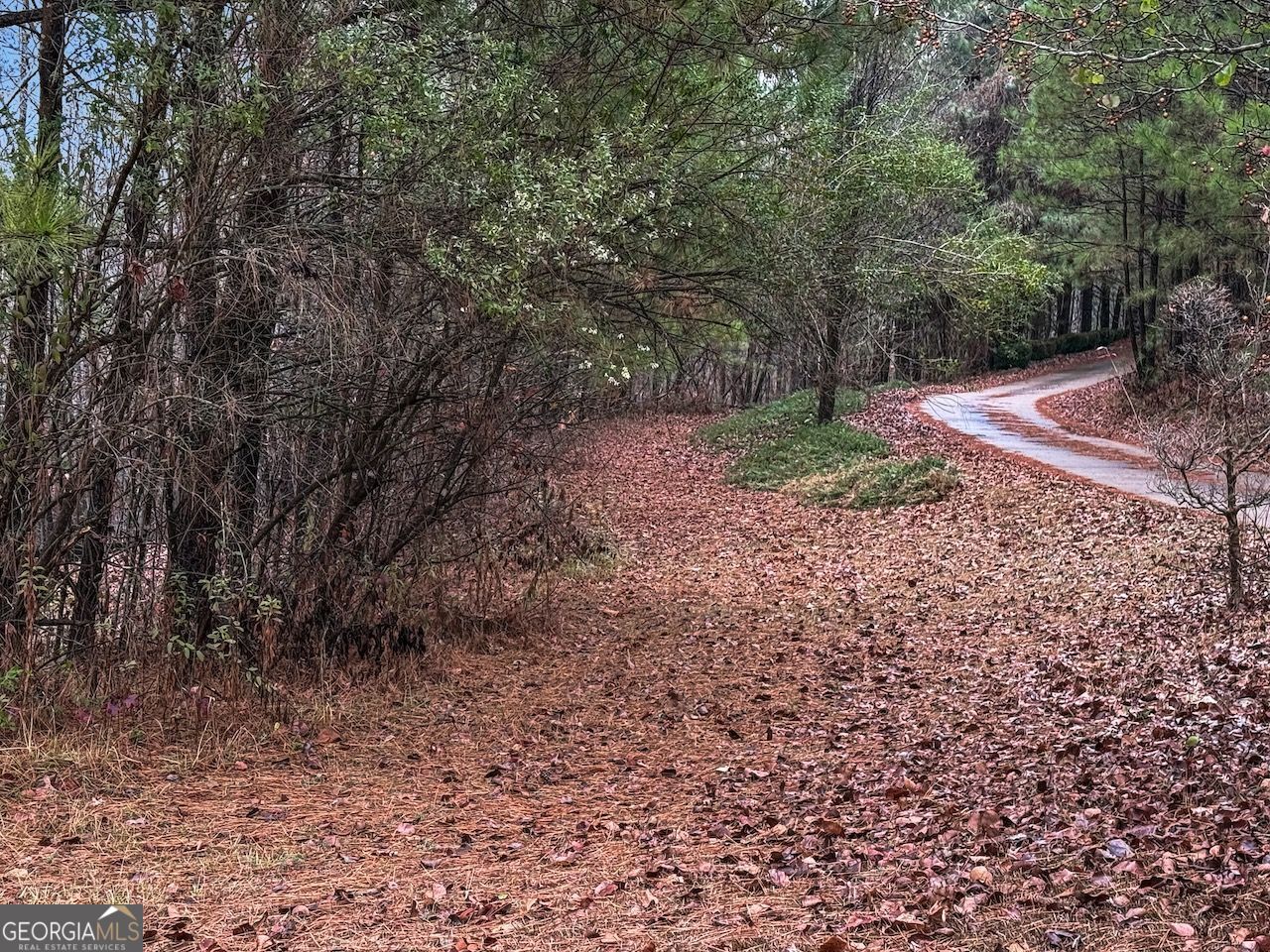 77 Observation Way Dallas GA 30132