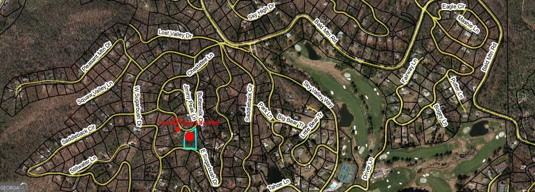 0 Lot 29 Buttermilk Circle Sky Valley GA 30537