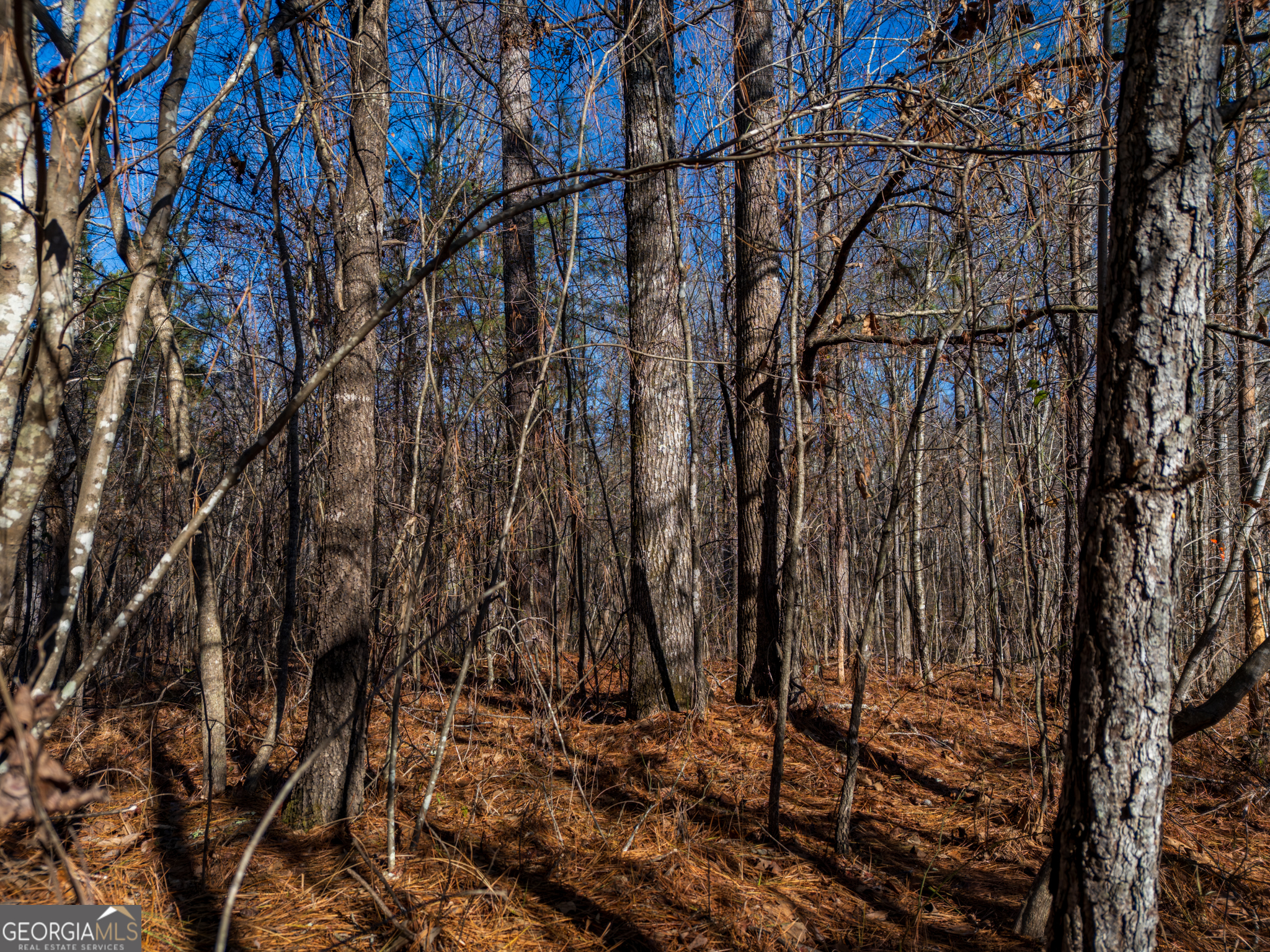 3.34 Acres Buck Circle Grantville GA 30220