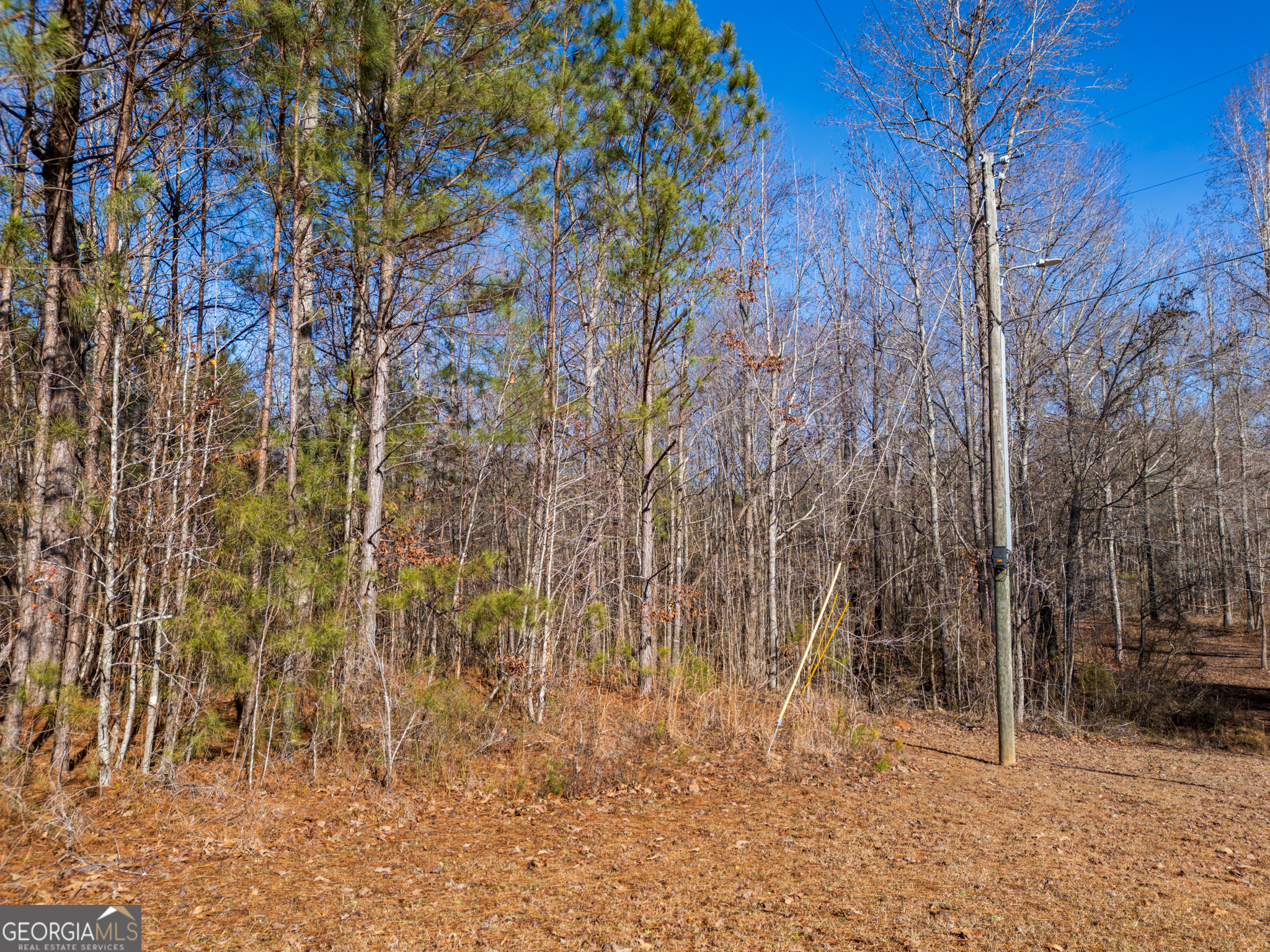 3.34 Acres Buck Circle Grantville GA 30220