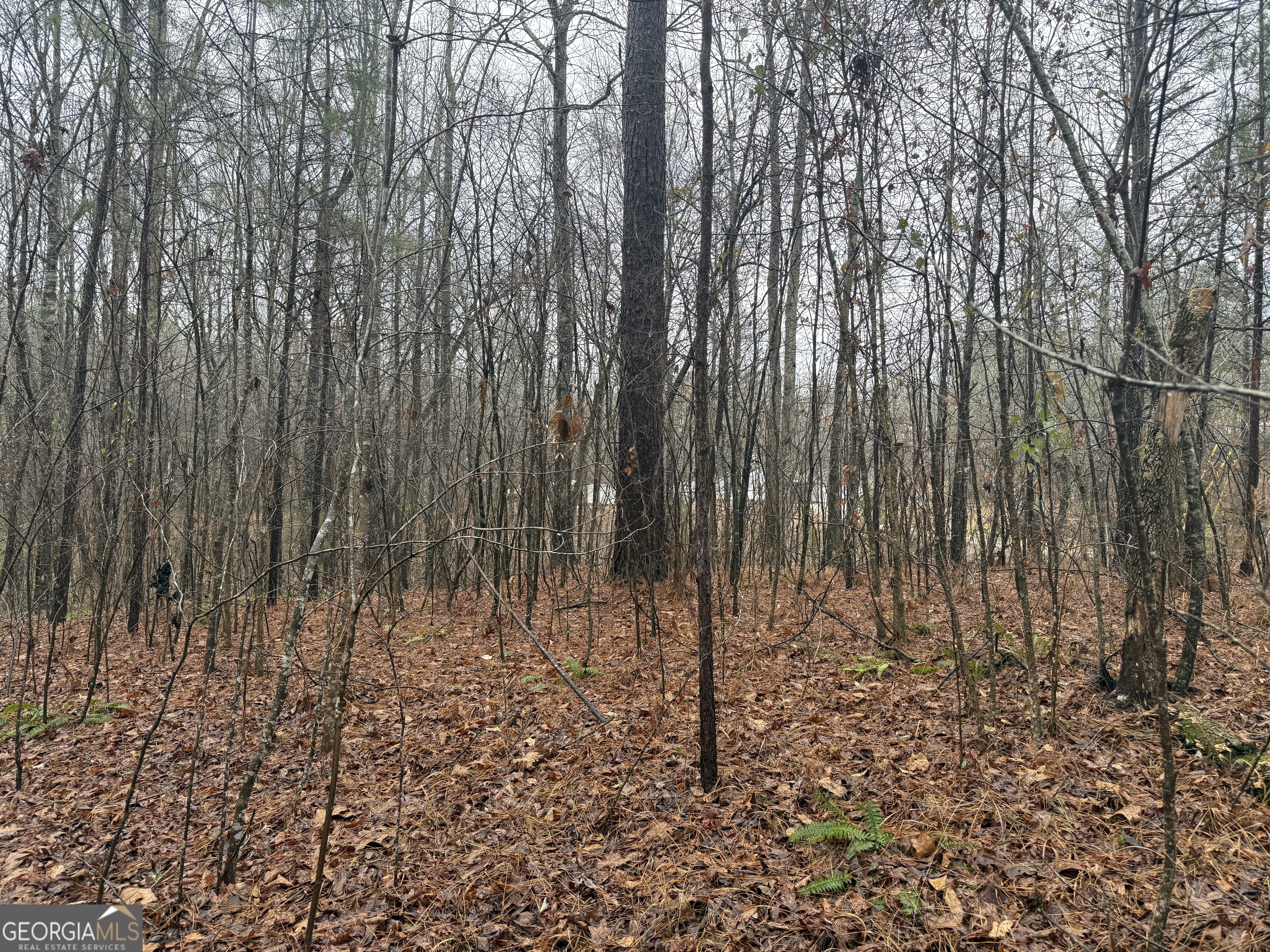 3.34 Acres Buck Circle Grantville GA 30220