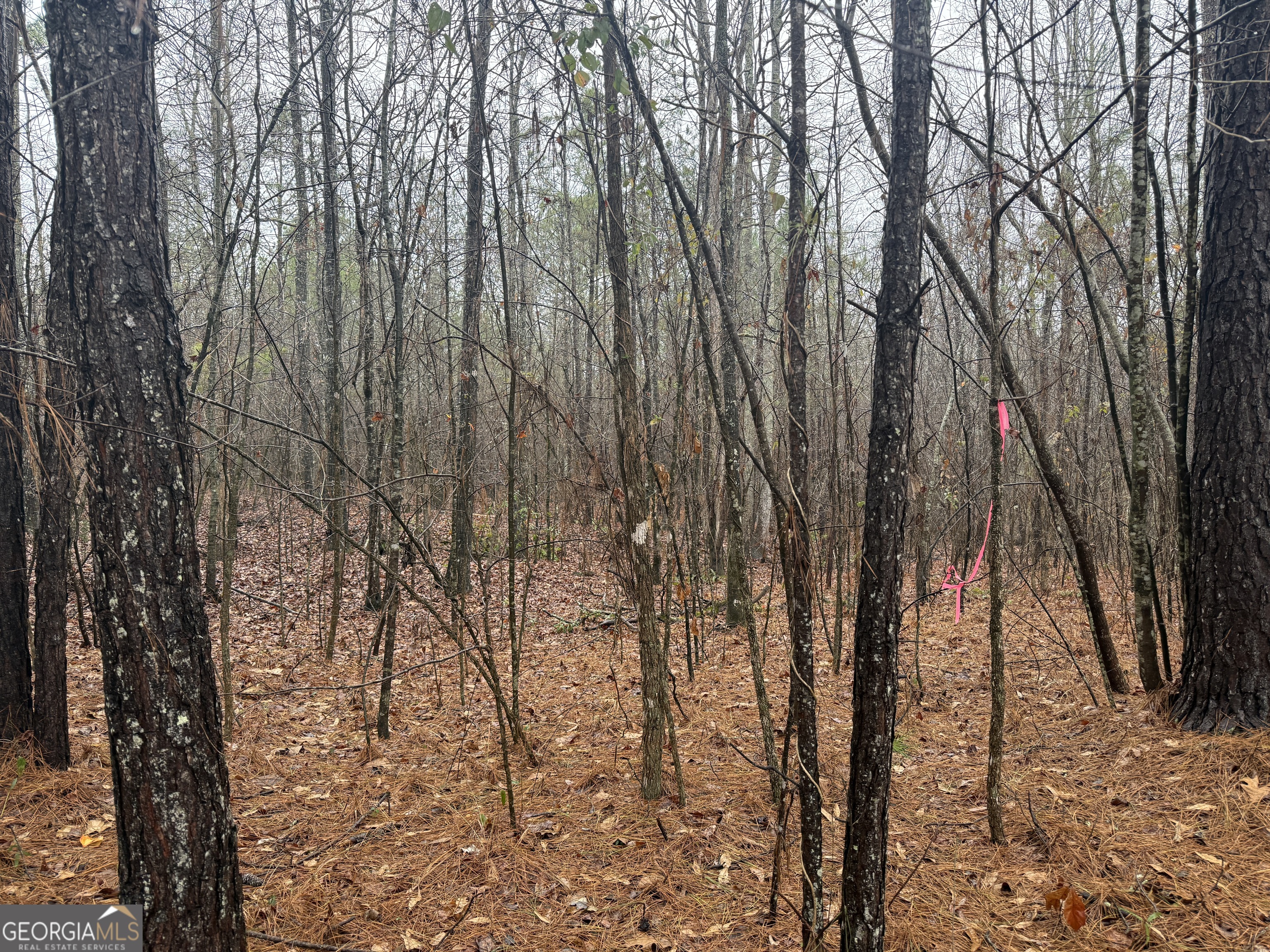 3.34 Acres Buck Circle Grantville GA 30220