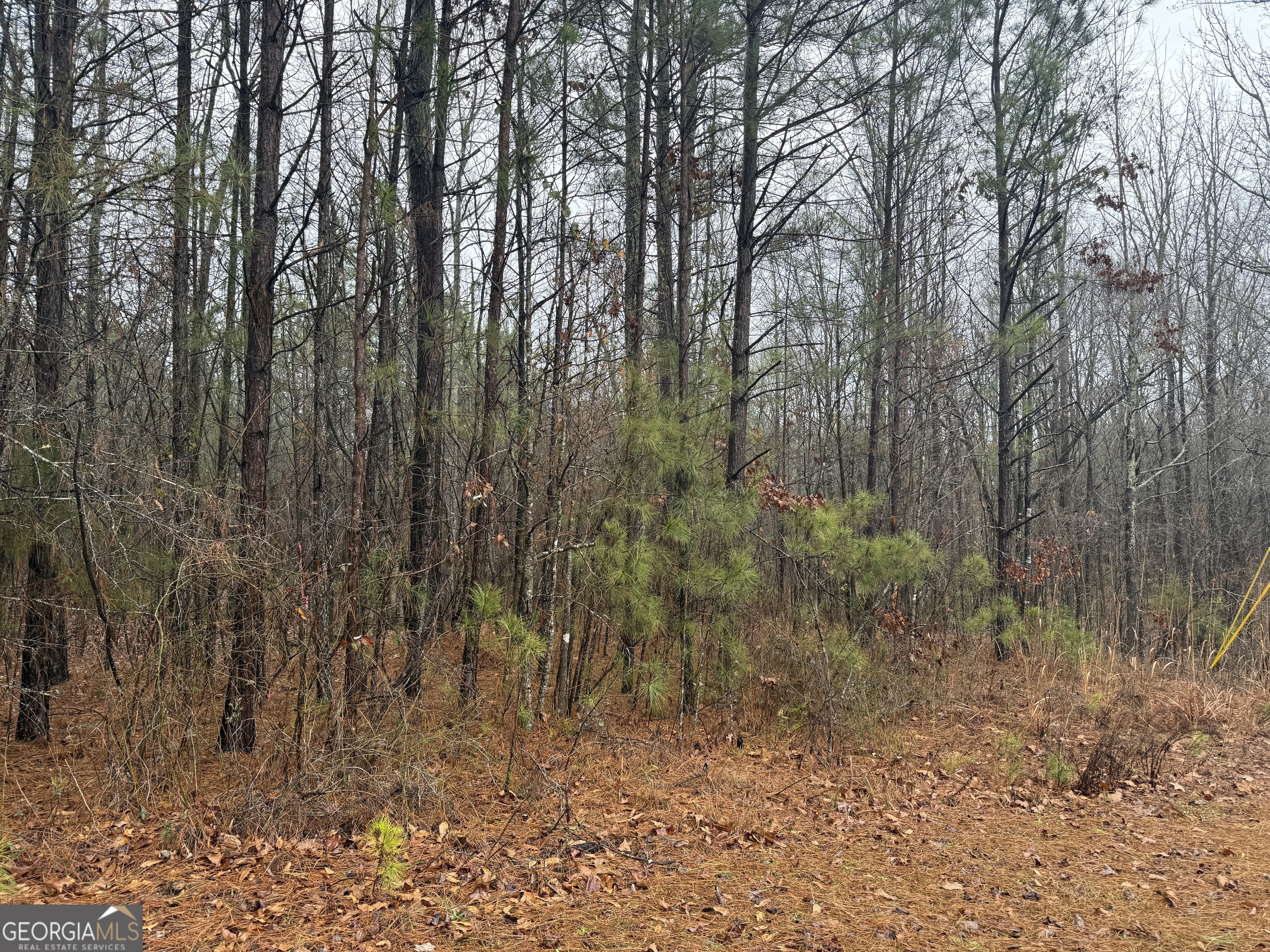 3.34 Acres Buck Circle Grantville GA 30220