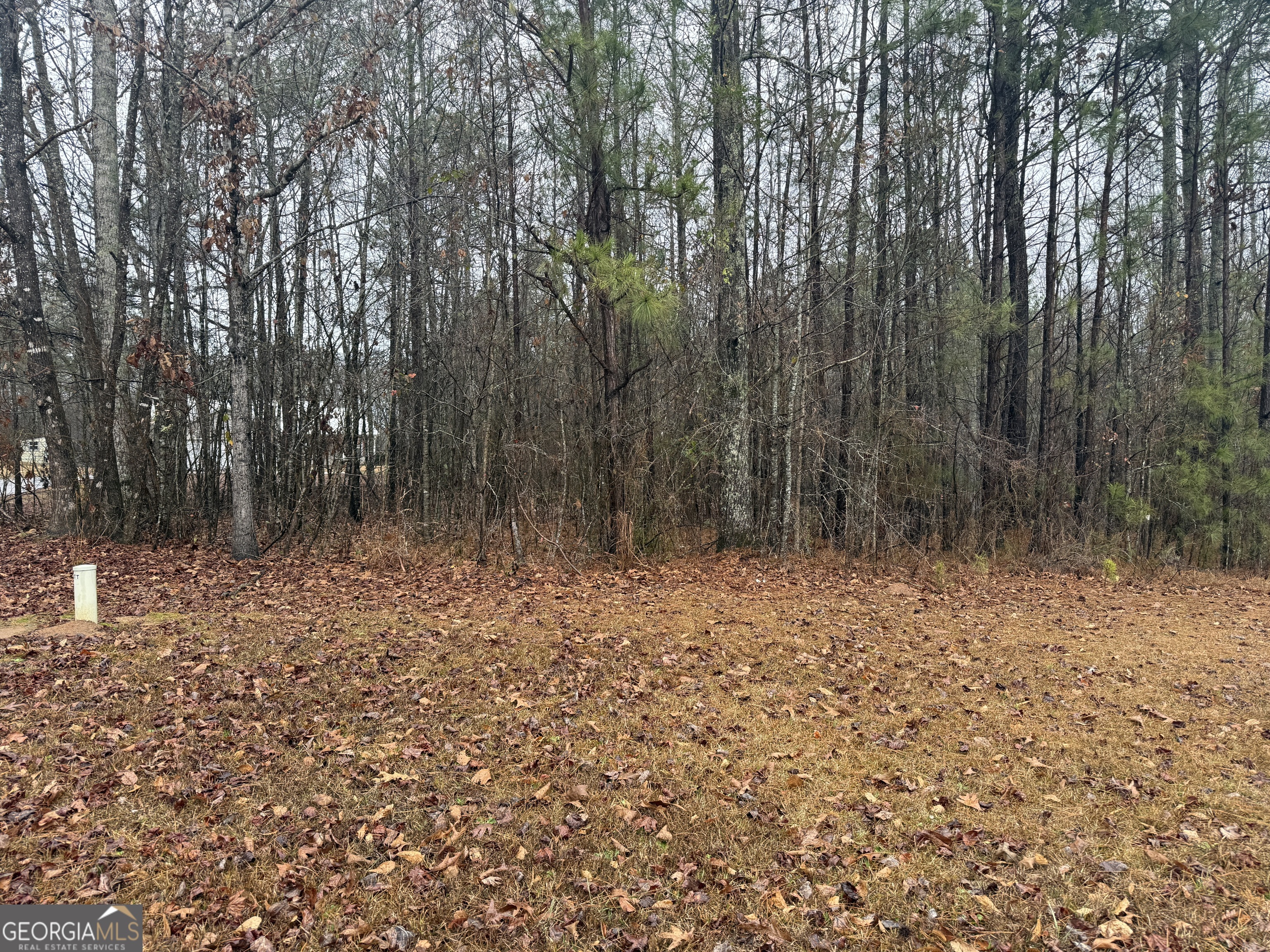 3.34 Acres Buck Circle Grantville GA 30220