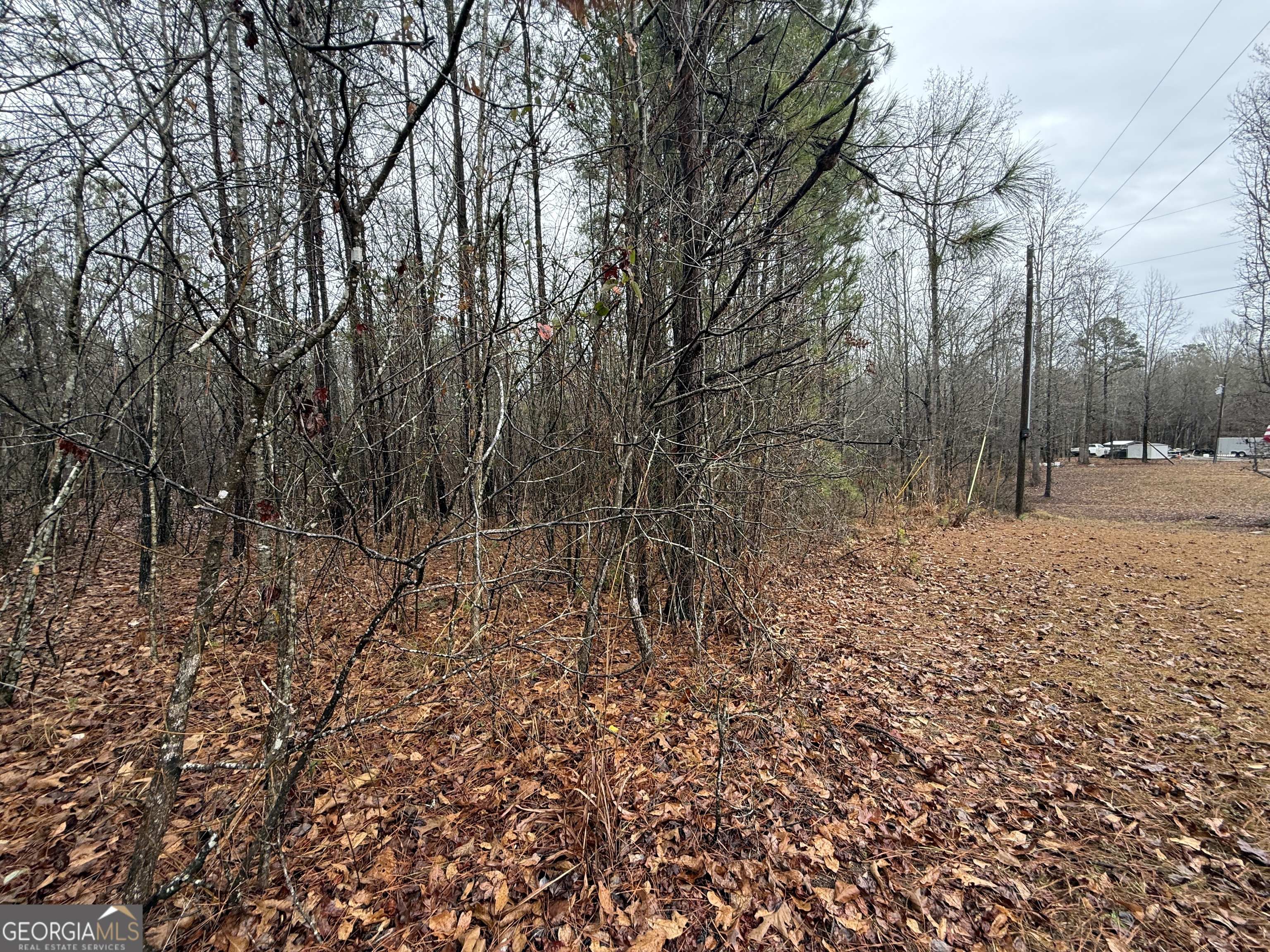 3.34 Acres Buck Circle Grantville GA 30220