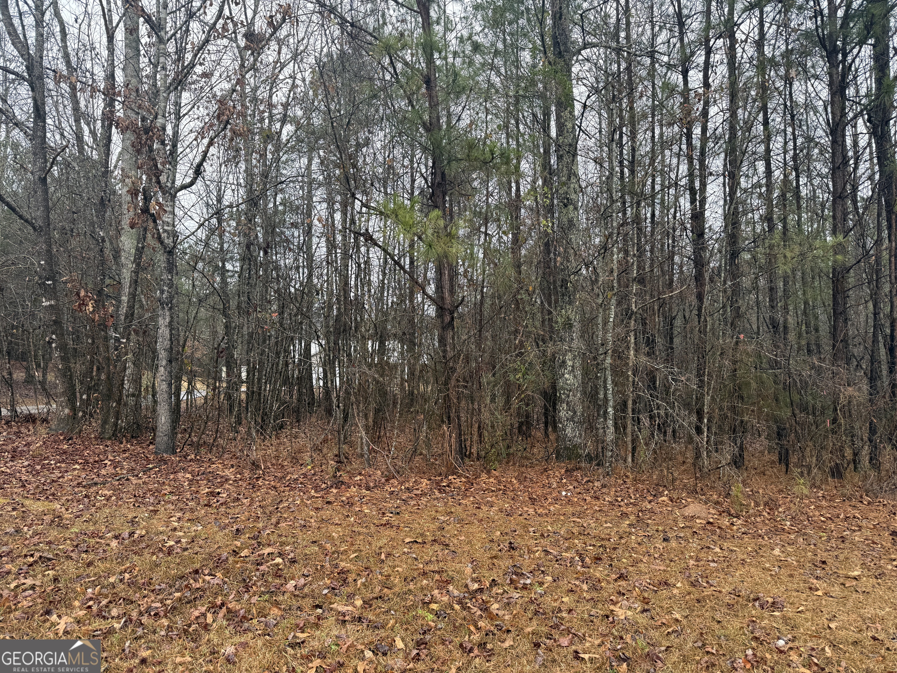 3.34 Acres Buck Circle Grantville GA 30220
