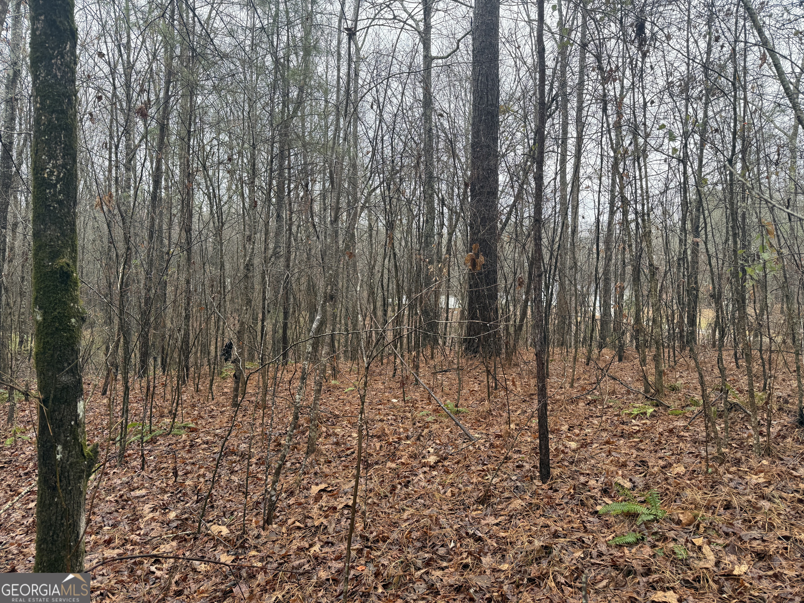 3.34 Acres Buck Circle Grantville GA 30220