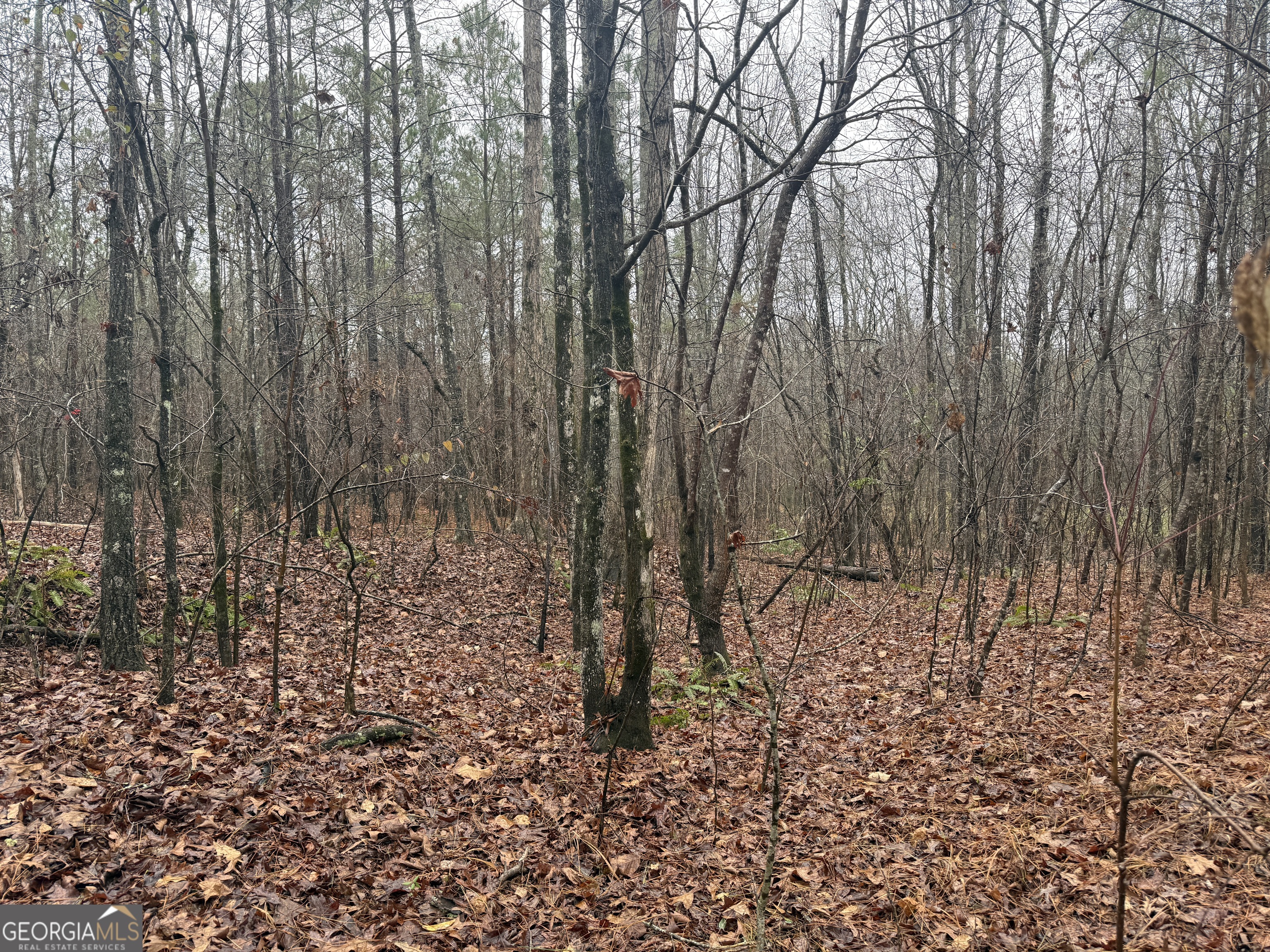3.34 Acres Buck Circle Grantville GA 30220