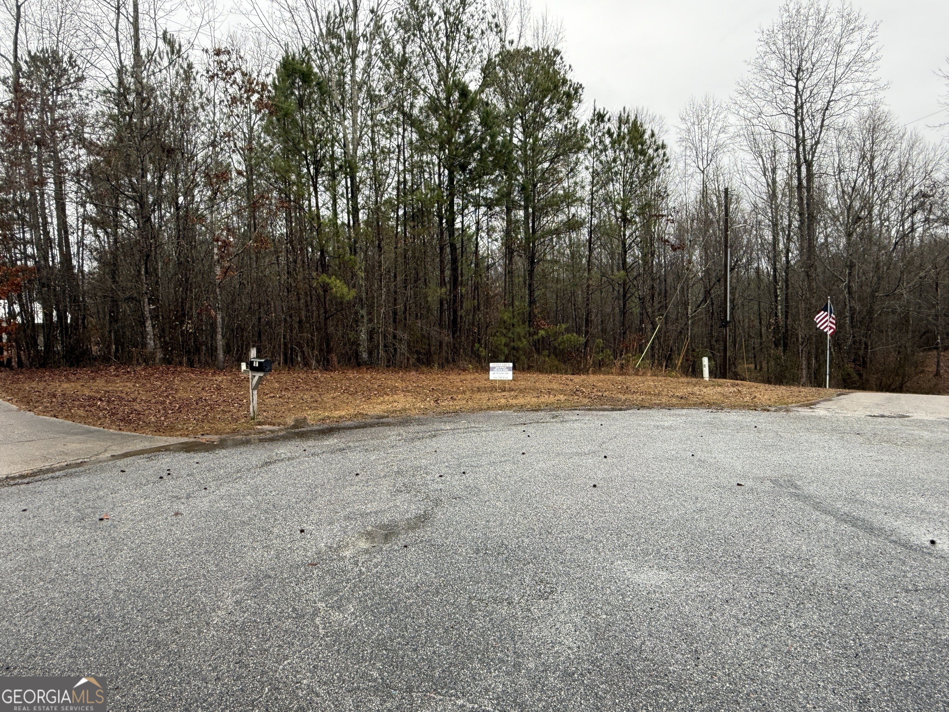 3.34 Acres Buck Circle Grantville GA 30220