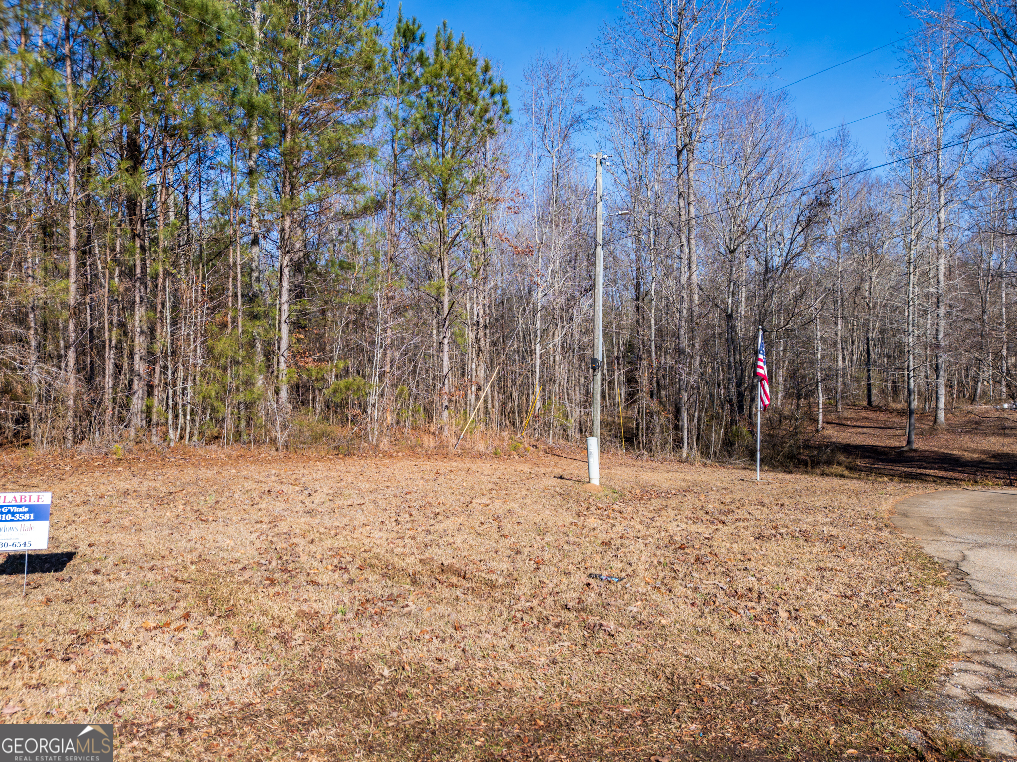 3.34 Acres Buck Circle Grantville GA 30220