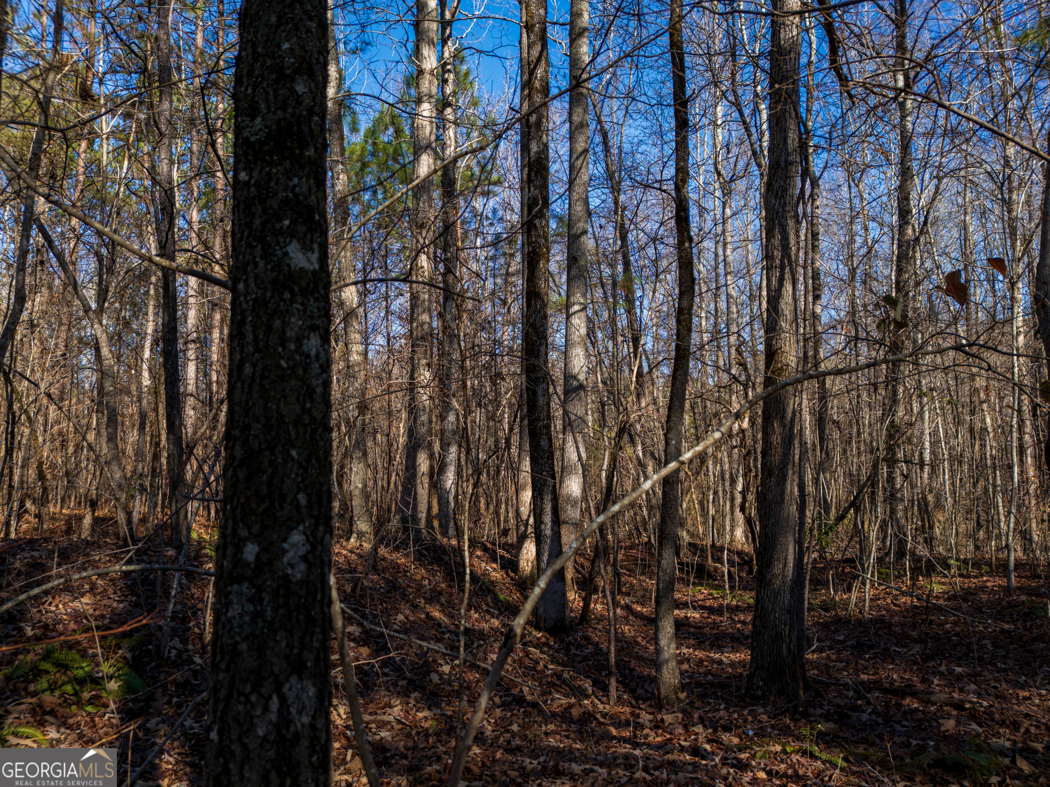 3.34 Acres Buck Circle Grantville GA 30220