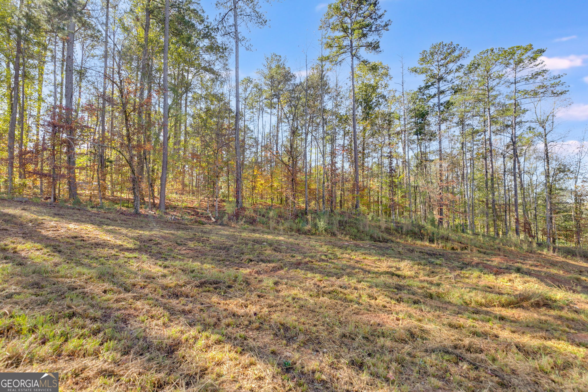 65 Indian Bend Drive Lagrange GA 30240