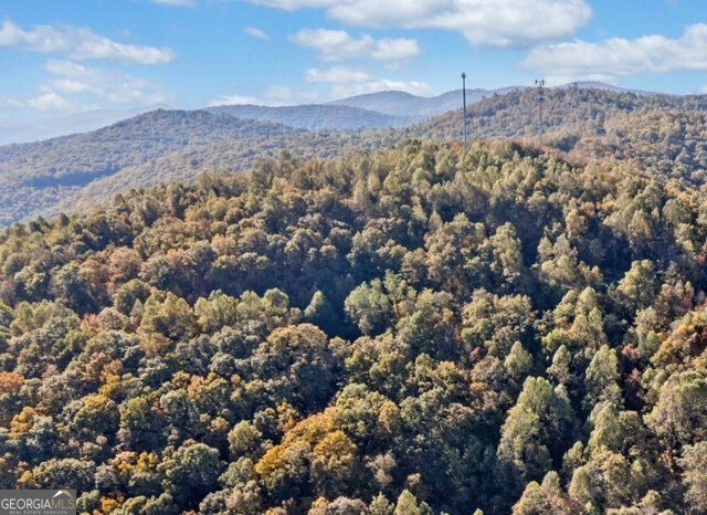 Lot 03 Upper Sassafras Parkway Jasper GA 30143