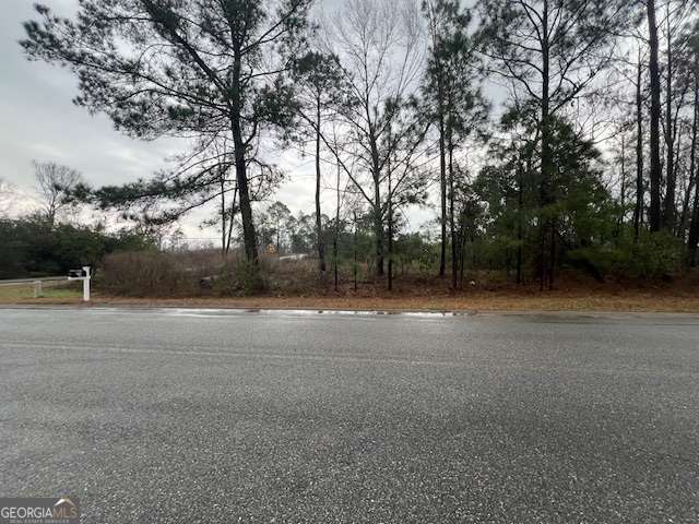 0 N Washington Street Lyons GA 30436