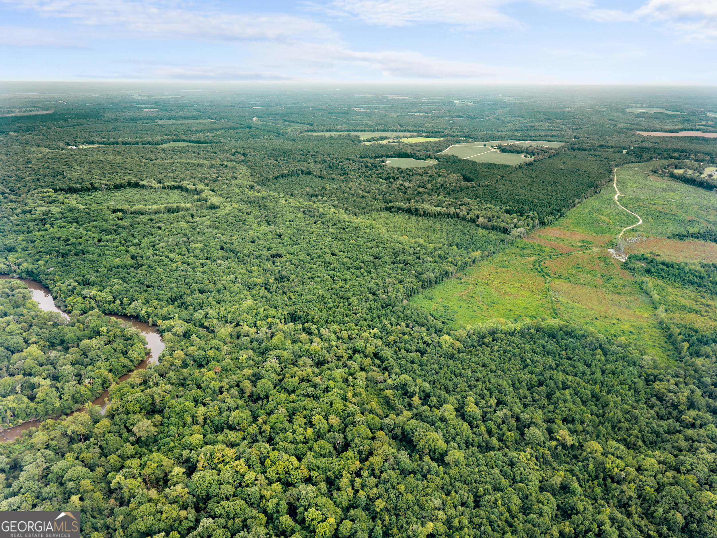 232 Acres Old River Road N Statesboro GA 30461