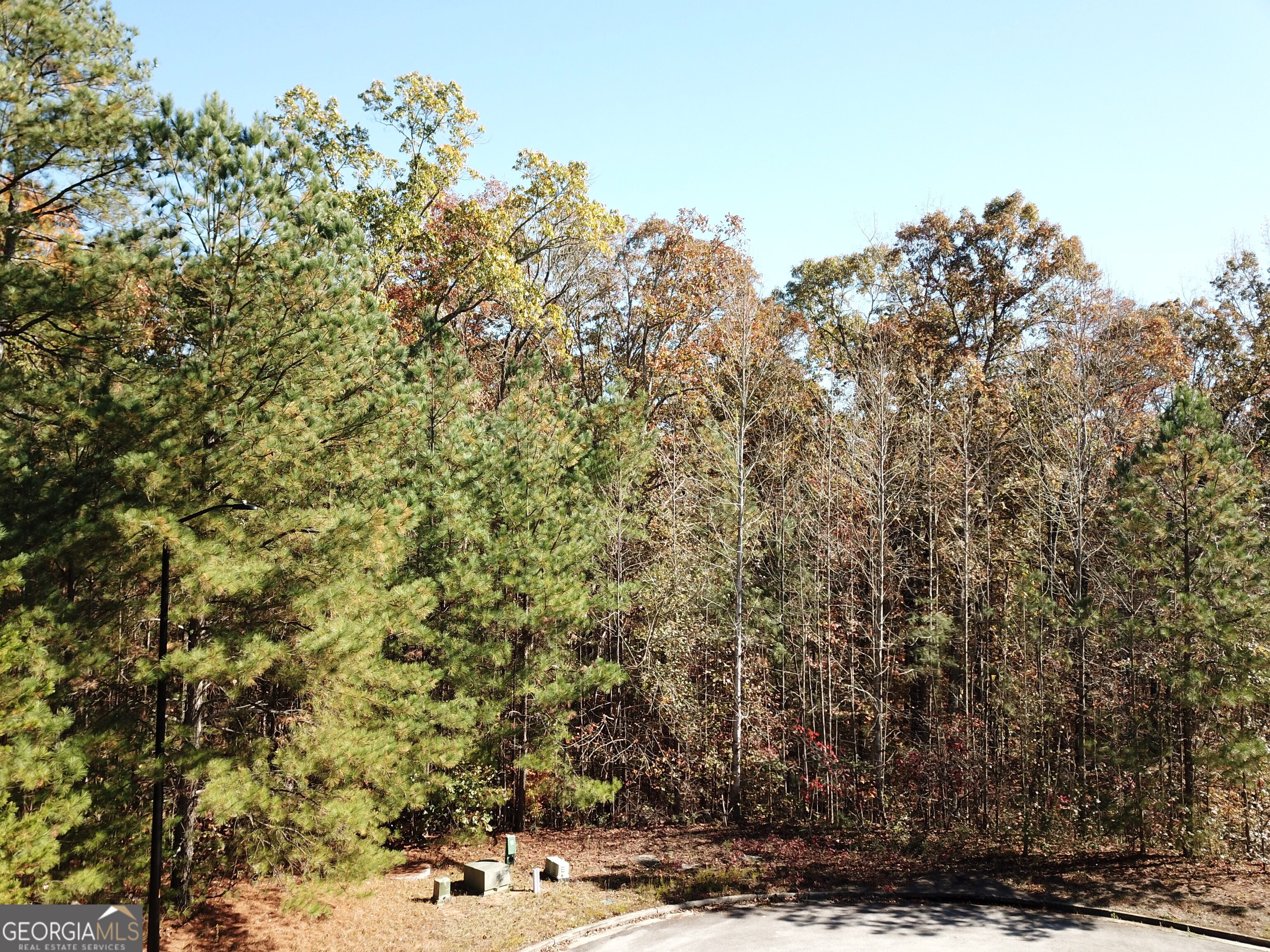 57 Santa Cruz Court Dallas GA 30157