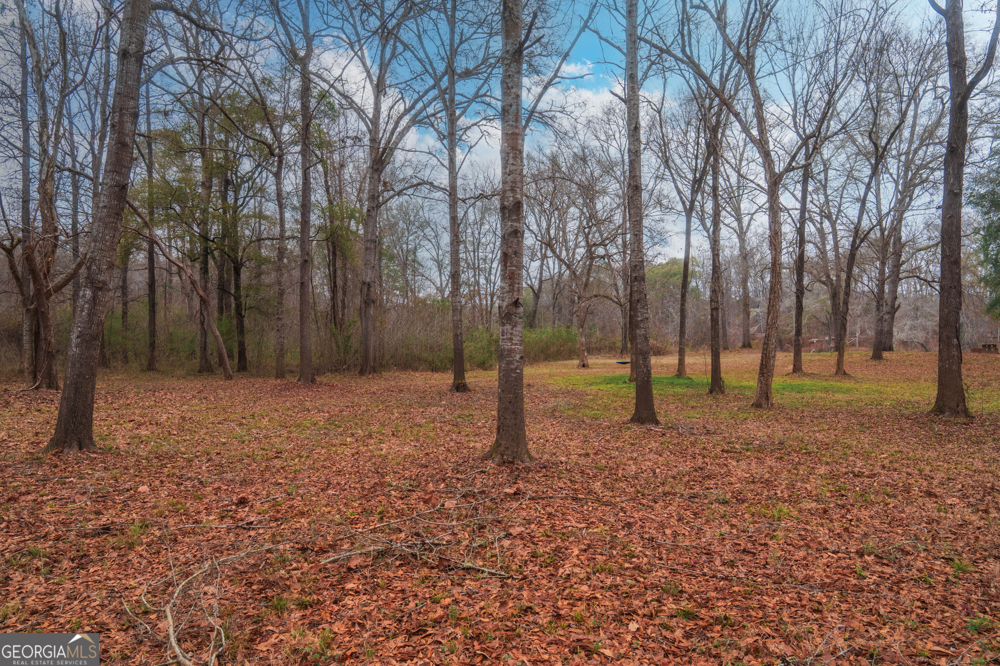 0 Turkey Run Road Juliette GA 31046