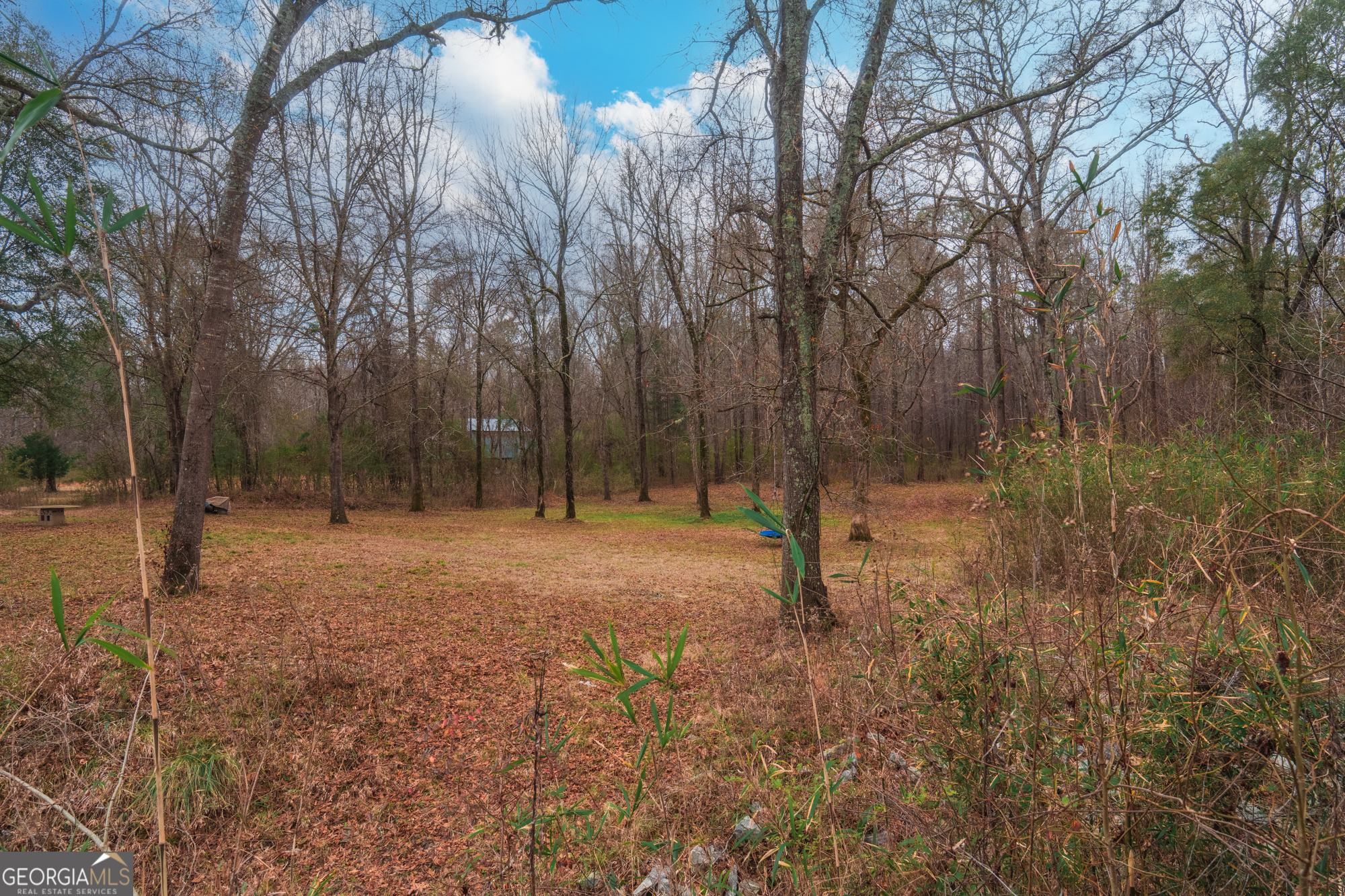 0 Turkey Run Road Juliette GA 31046