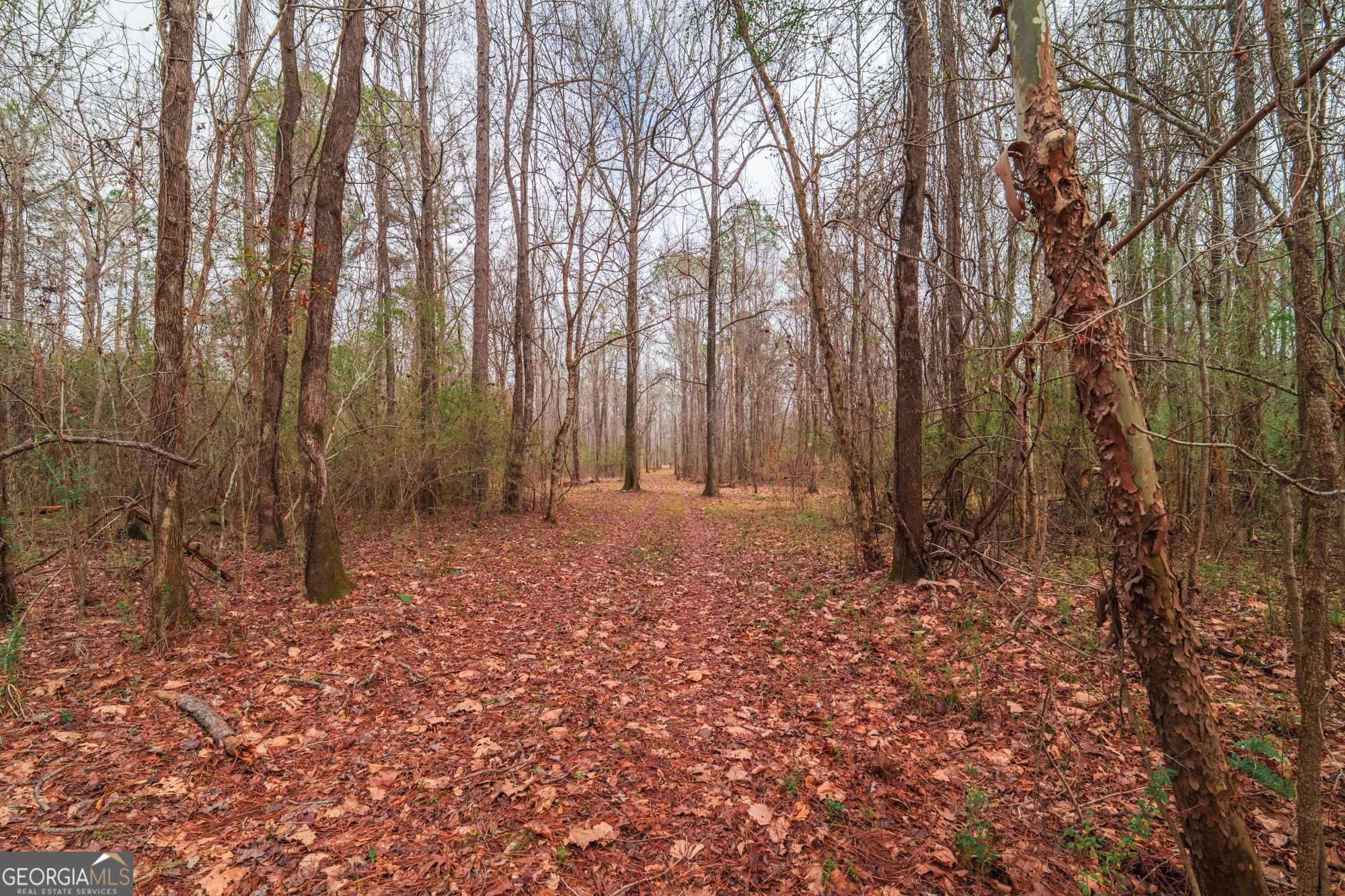 0 Turkey Run Road Juliette GA 31046