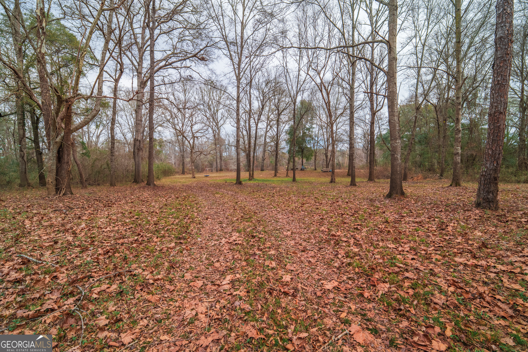 0 Turkey Run Road Juliette GA 31046