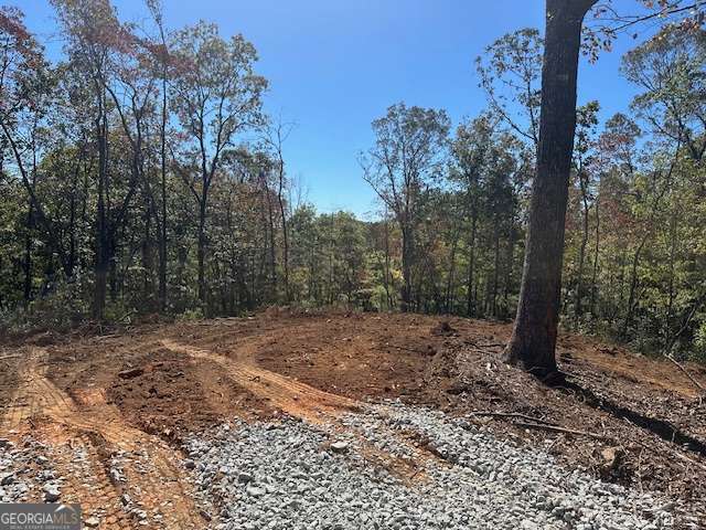 3.71 Yancy Drive Dawsonville GA 30534