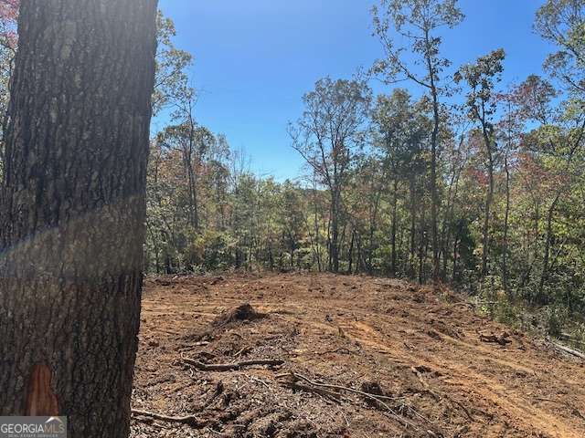 3.71 Yancy Drive Dawsonville GA 30534