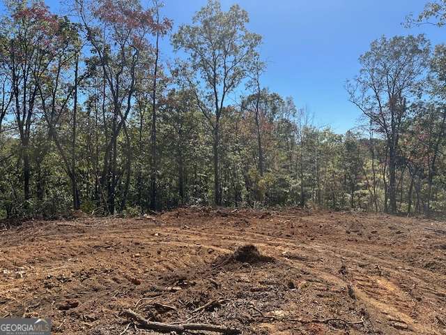 3.71 Yancy Drive Dawsonville GA 30534