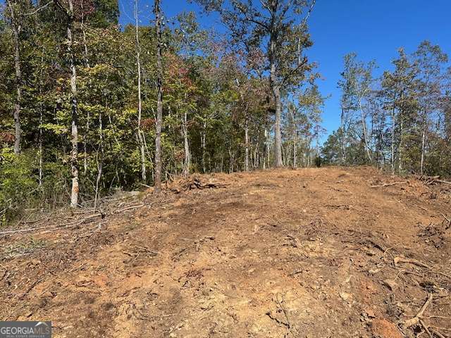 3.71 Yancy Drive Dawsonville GA 30534